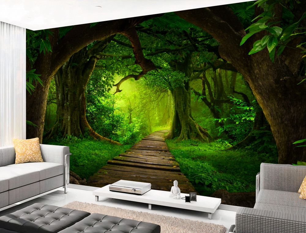 Fototapeta tropiki wśród starych drzew leśnych w kierunku światła