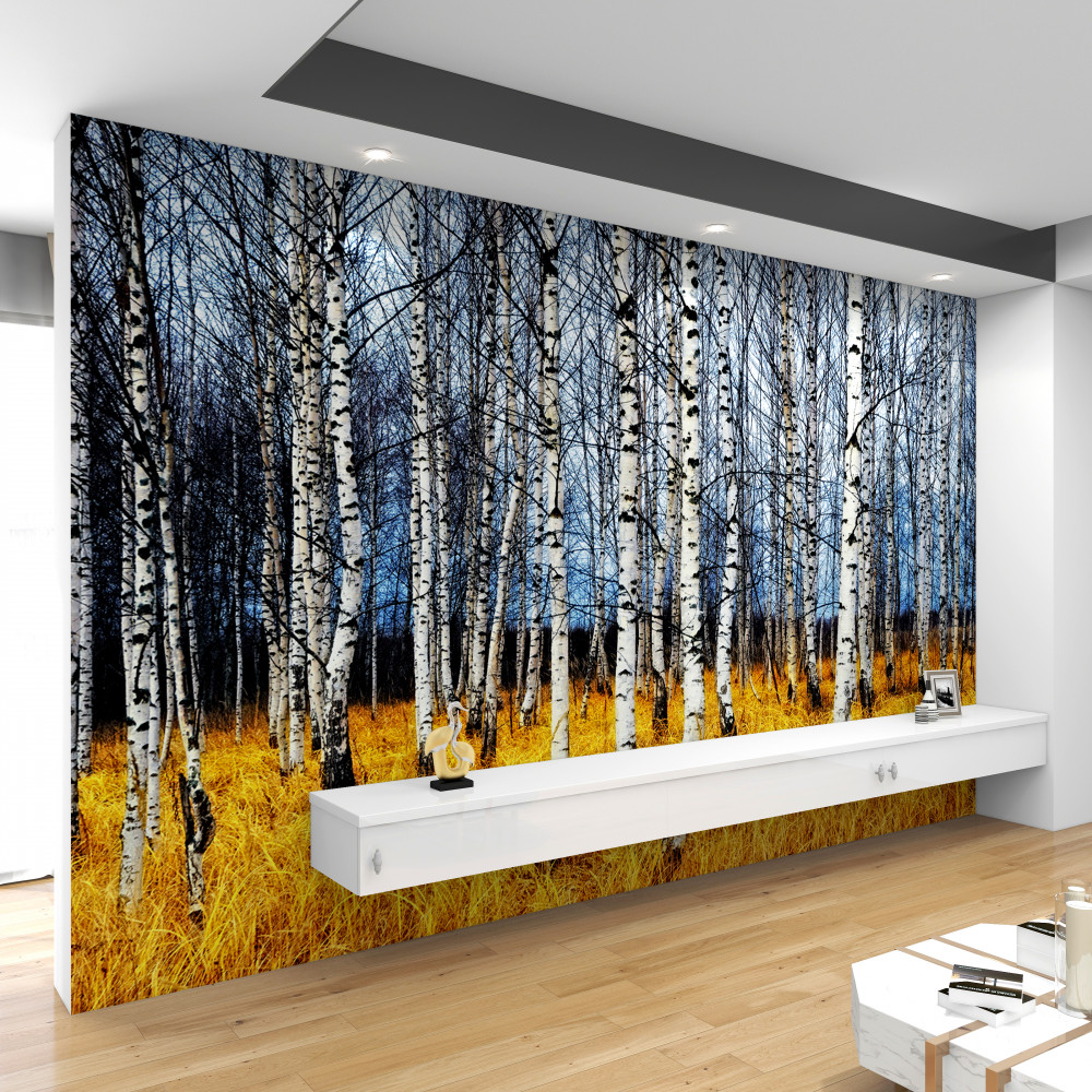 Fototapeta żółta trawa i opadłe brzozy w lesie