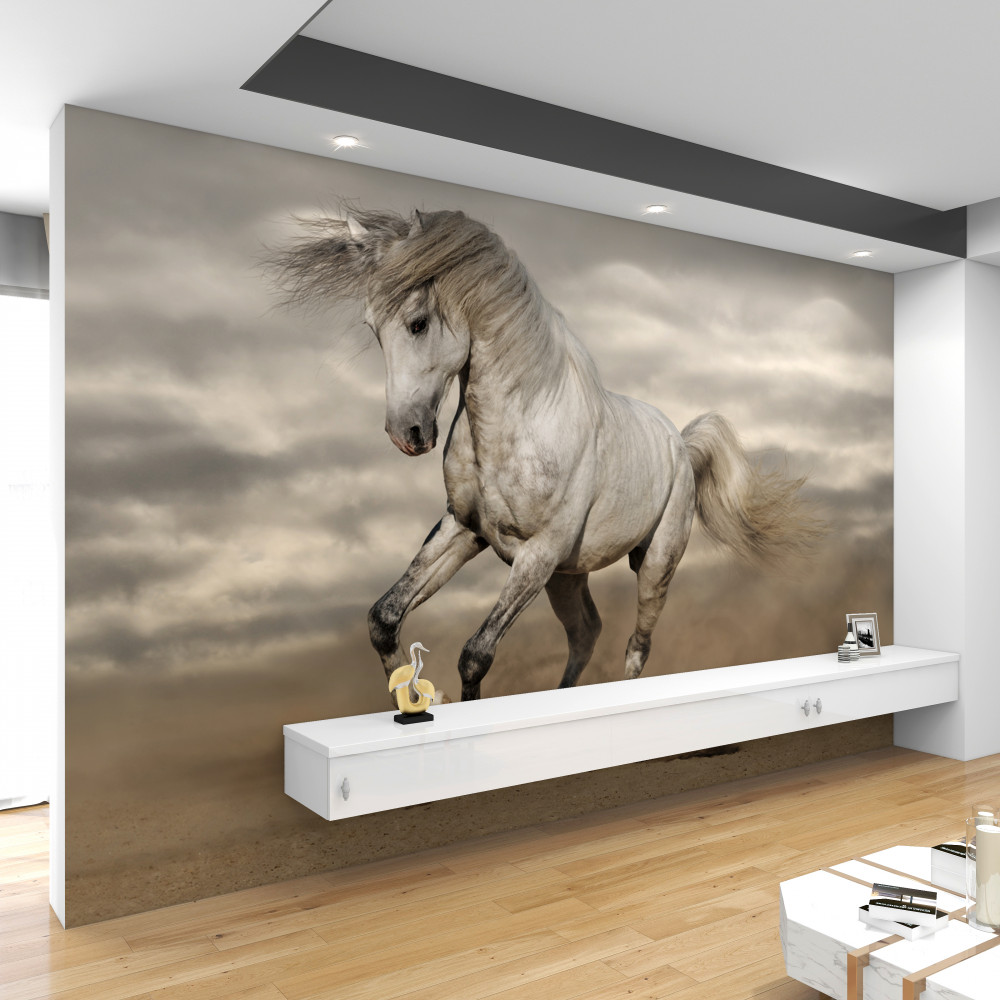 Fototapeta biały koń przestał biec