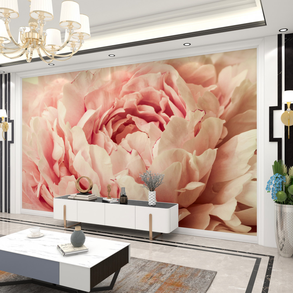 Fototapeta delikatne płatki asteru