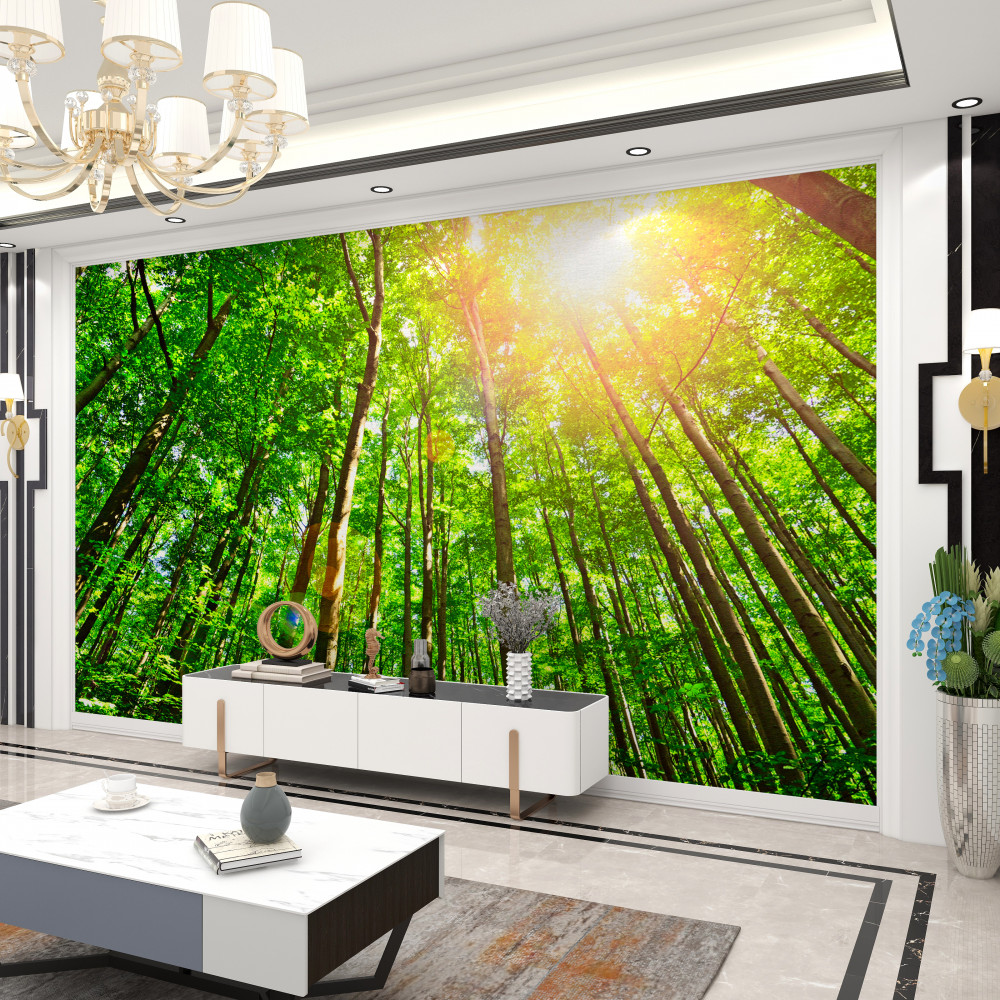 Fototapeta jasne słońce przecina gęste krawędzie lasu