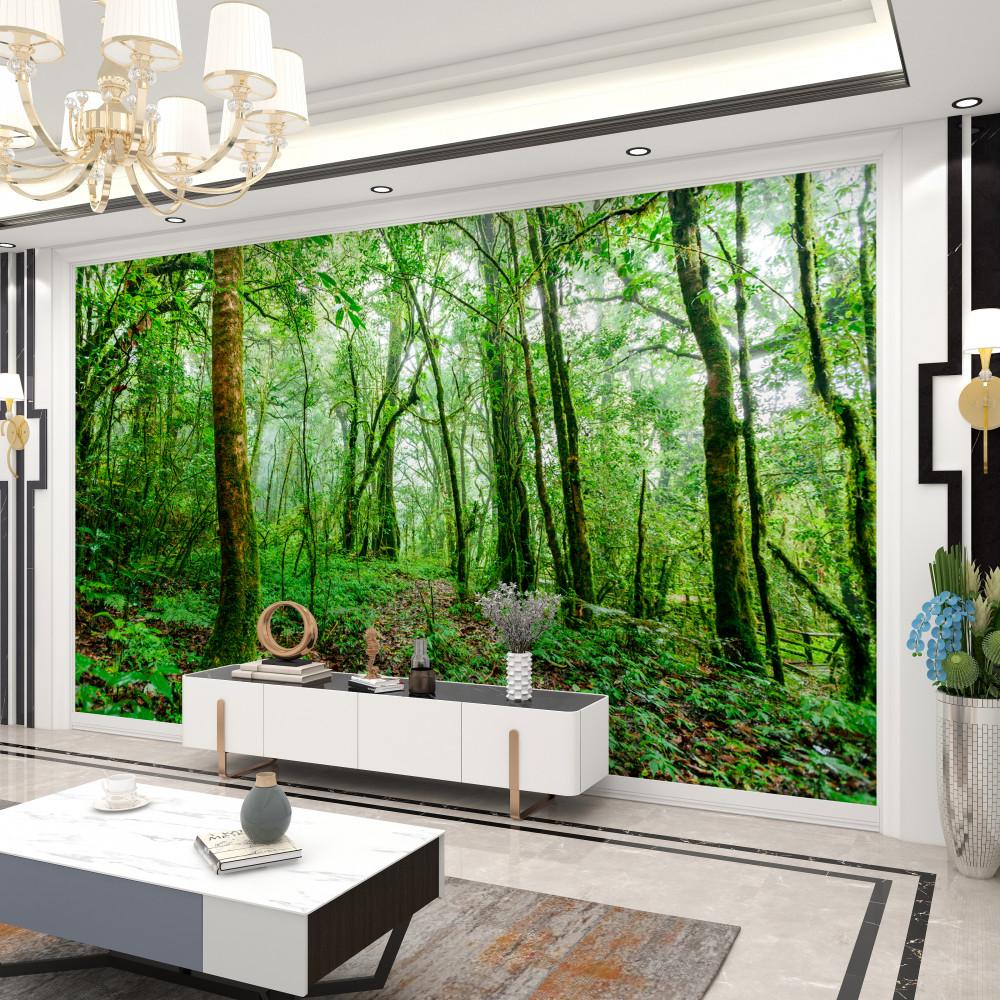 Fototapeta zielony las po deszczu