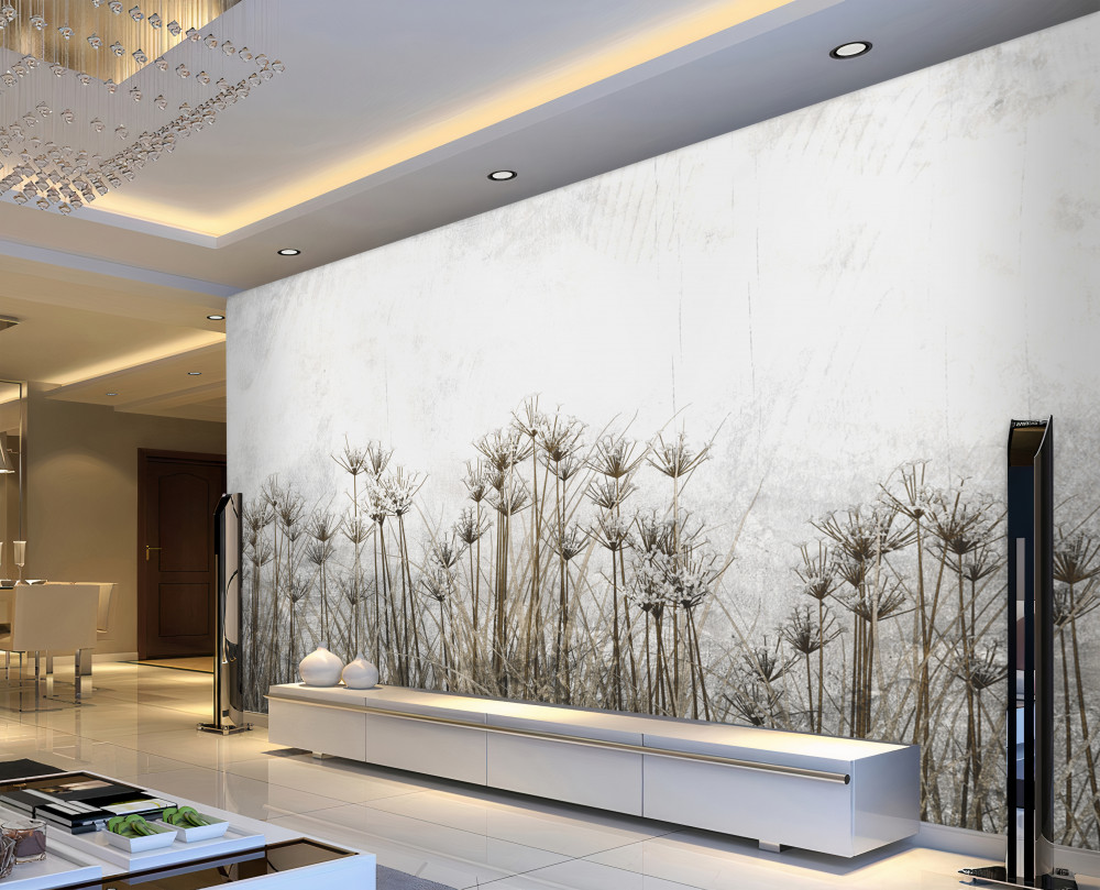 Fototapeta smukłe puste mlecze