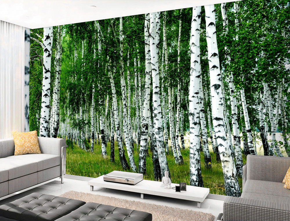 Fototapeta smukłe zielone brzozy na łące