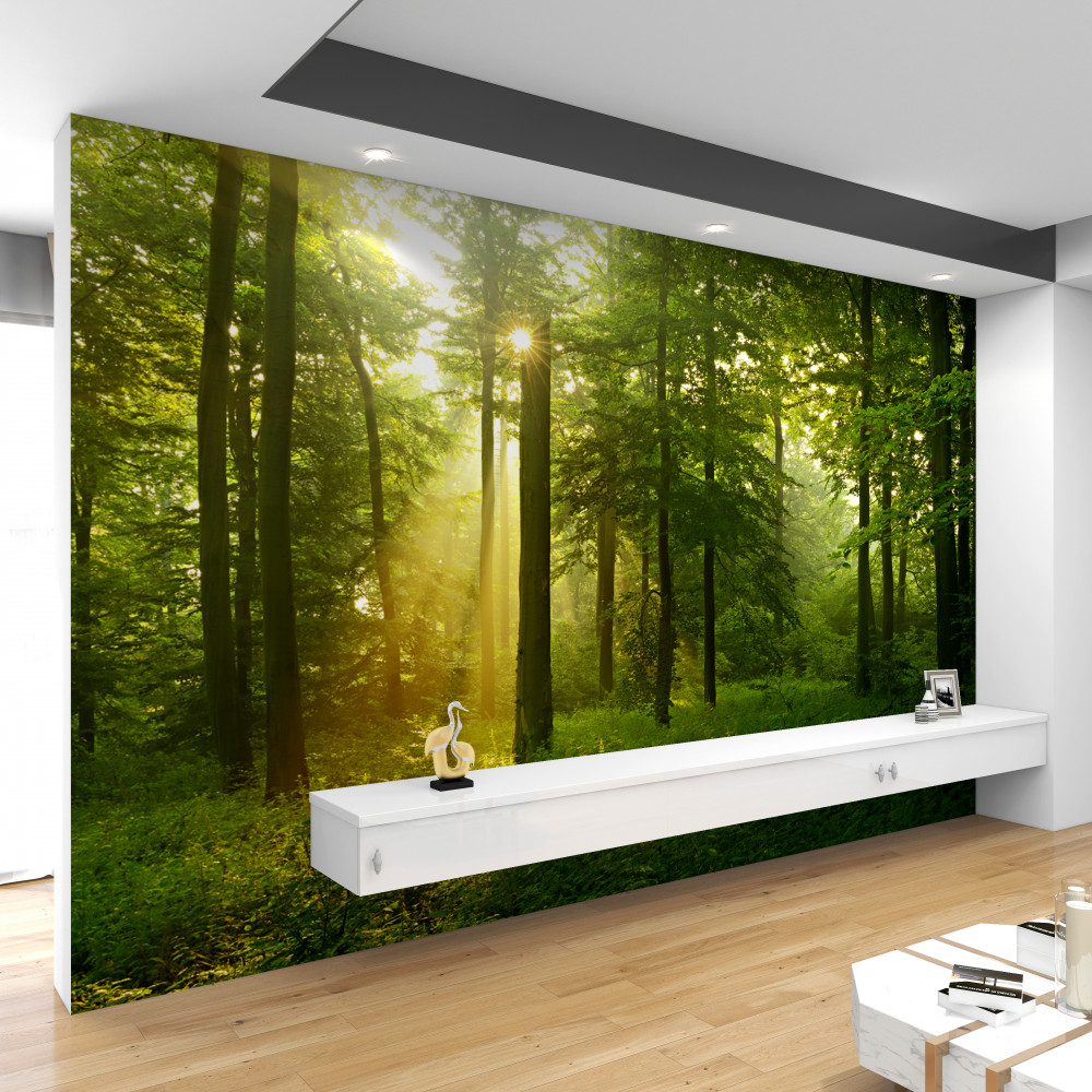 Fototapeta poranne promienie słońca przebijają las