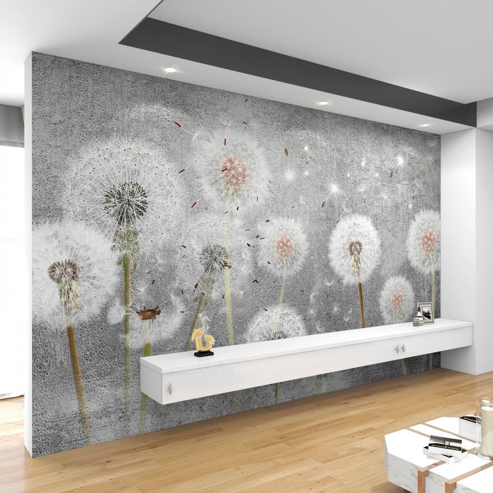 Fototapeta duże, wyblakłe mlecze