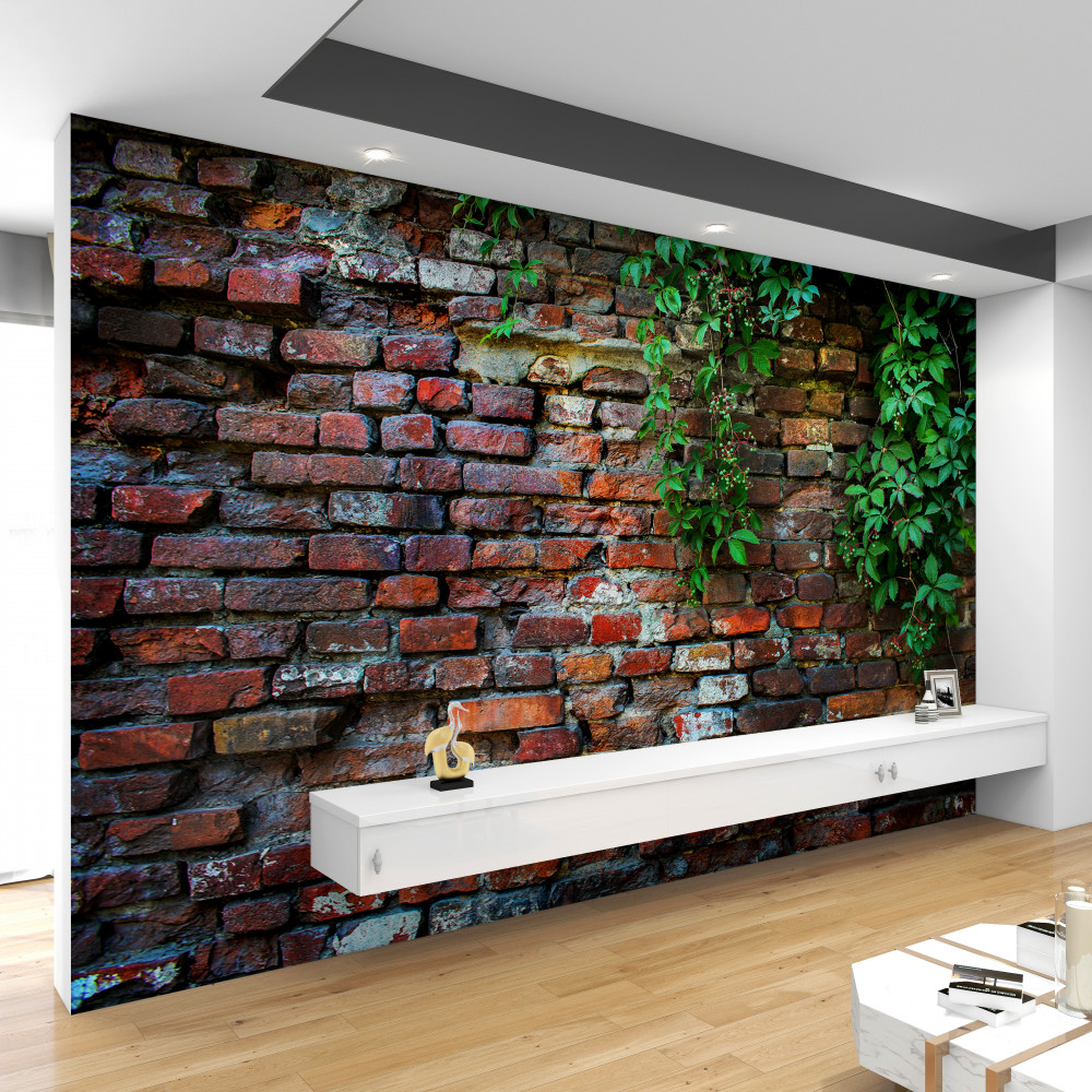 Fototapeta stary ceglany mur i zieleń