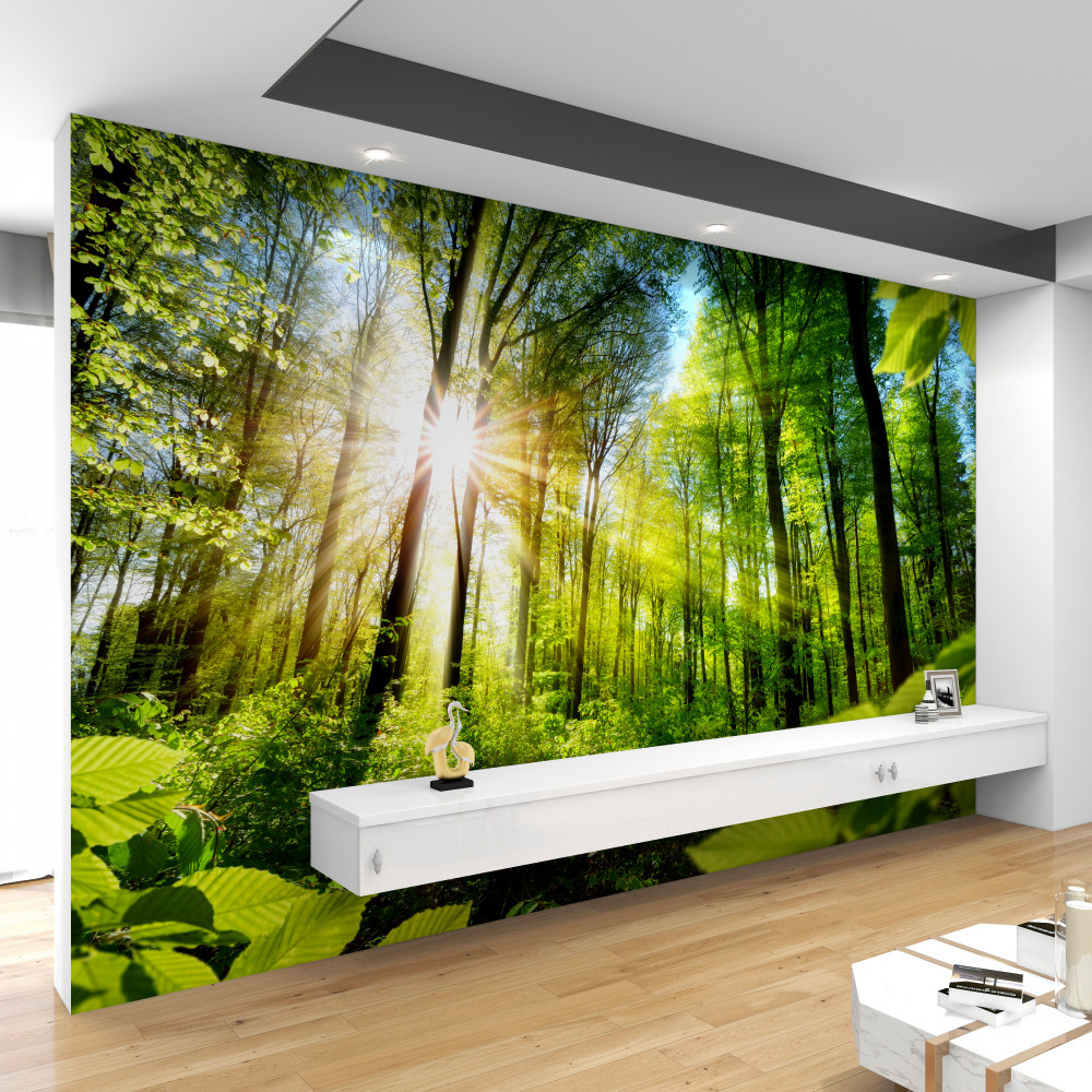 Fototapeta promienie słoneczne przebijają się przez drzewa w lesie