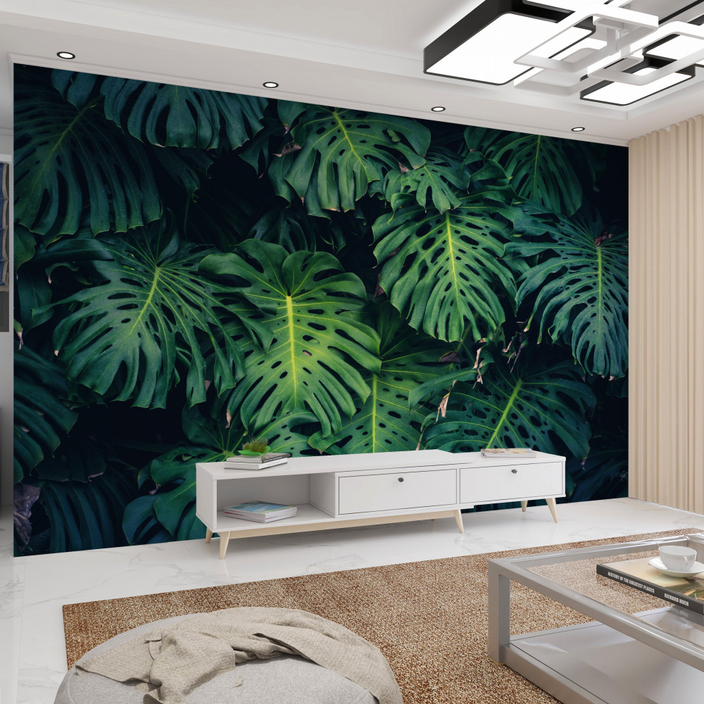 Fototapeta duże zielone liście palmowe