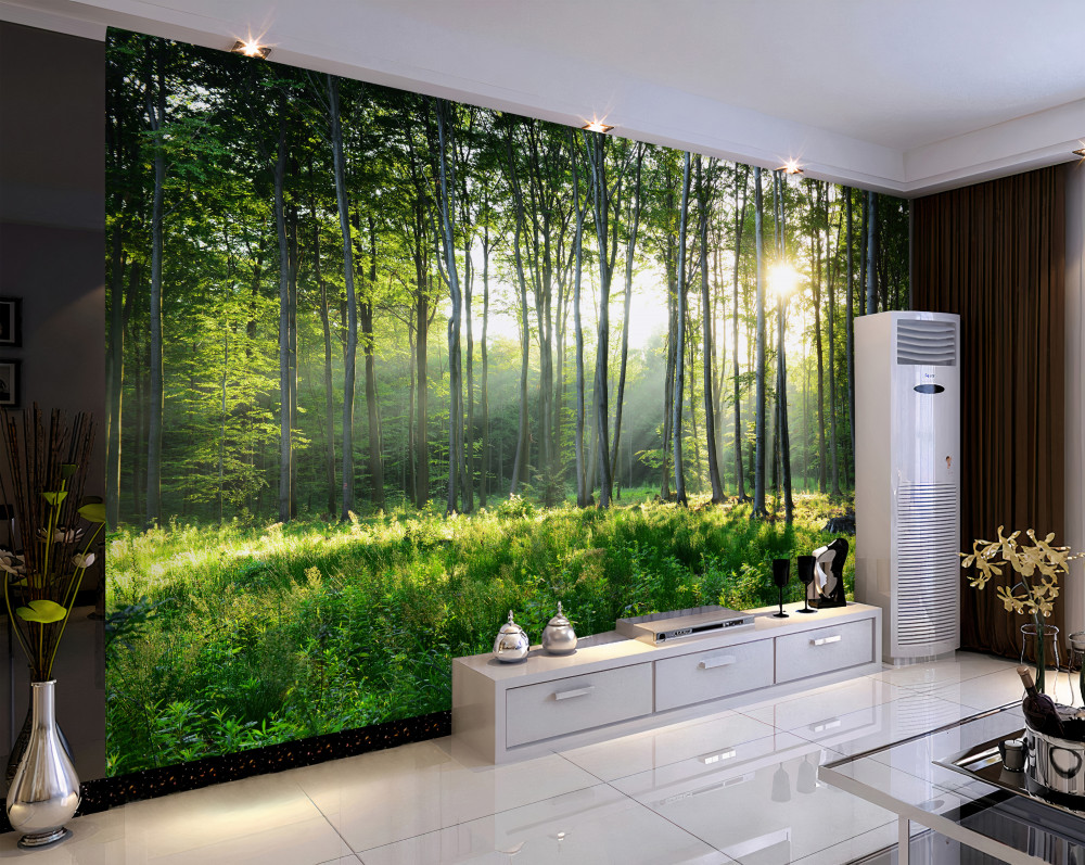 Fototapeta trawnik z widokiem na wschód słońca w lesie