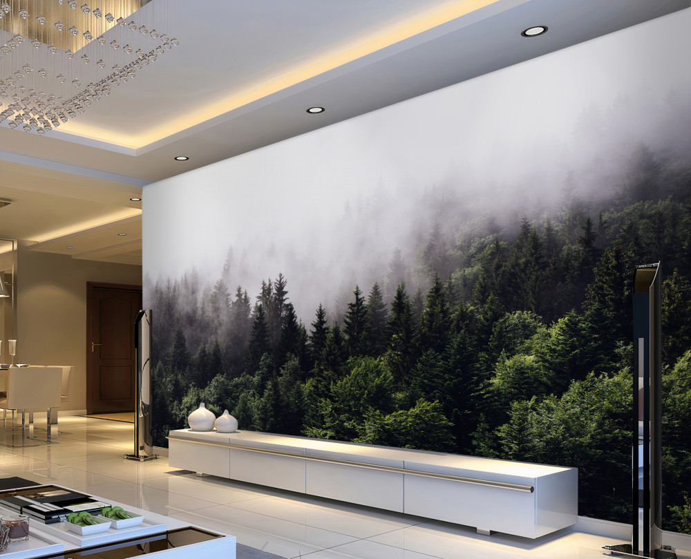 Fototapeta widok z góry na las we mgle