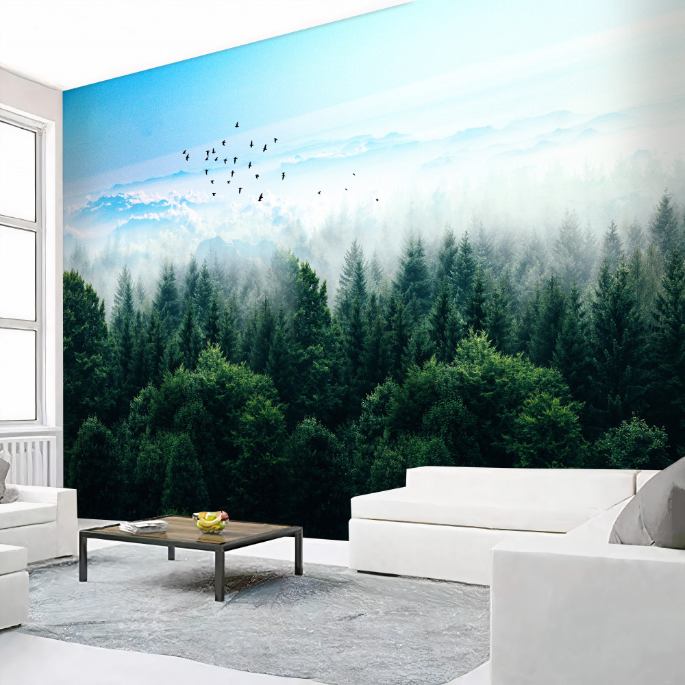 Fototapeta ptaki krążące nad koronami drzew leśnych