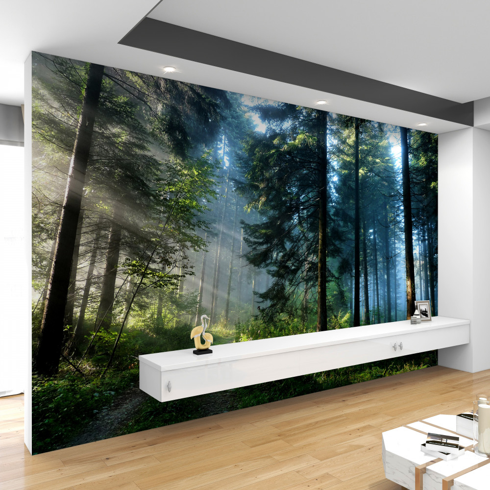 Fototapeta ścieżka w mglistym lesie