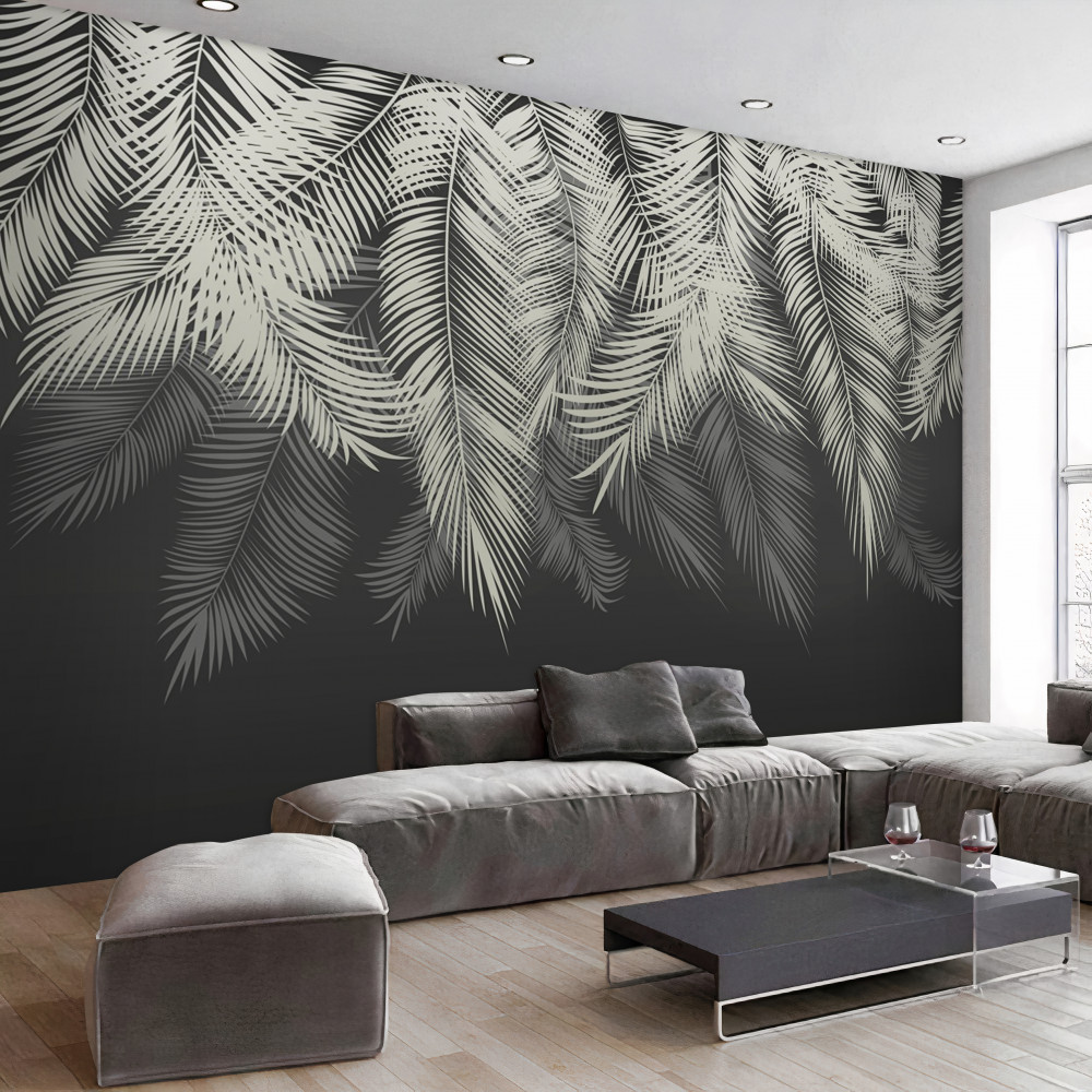 Fototapeta liście paproci w czarną noc