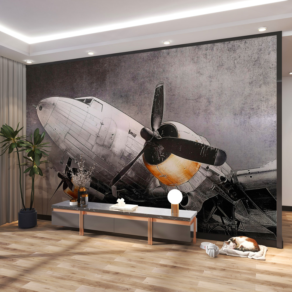 Fototapeta samolot pomalowany na biało