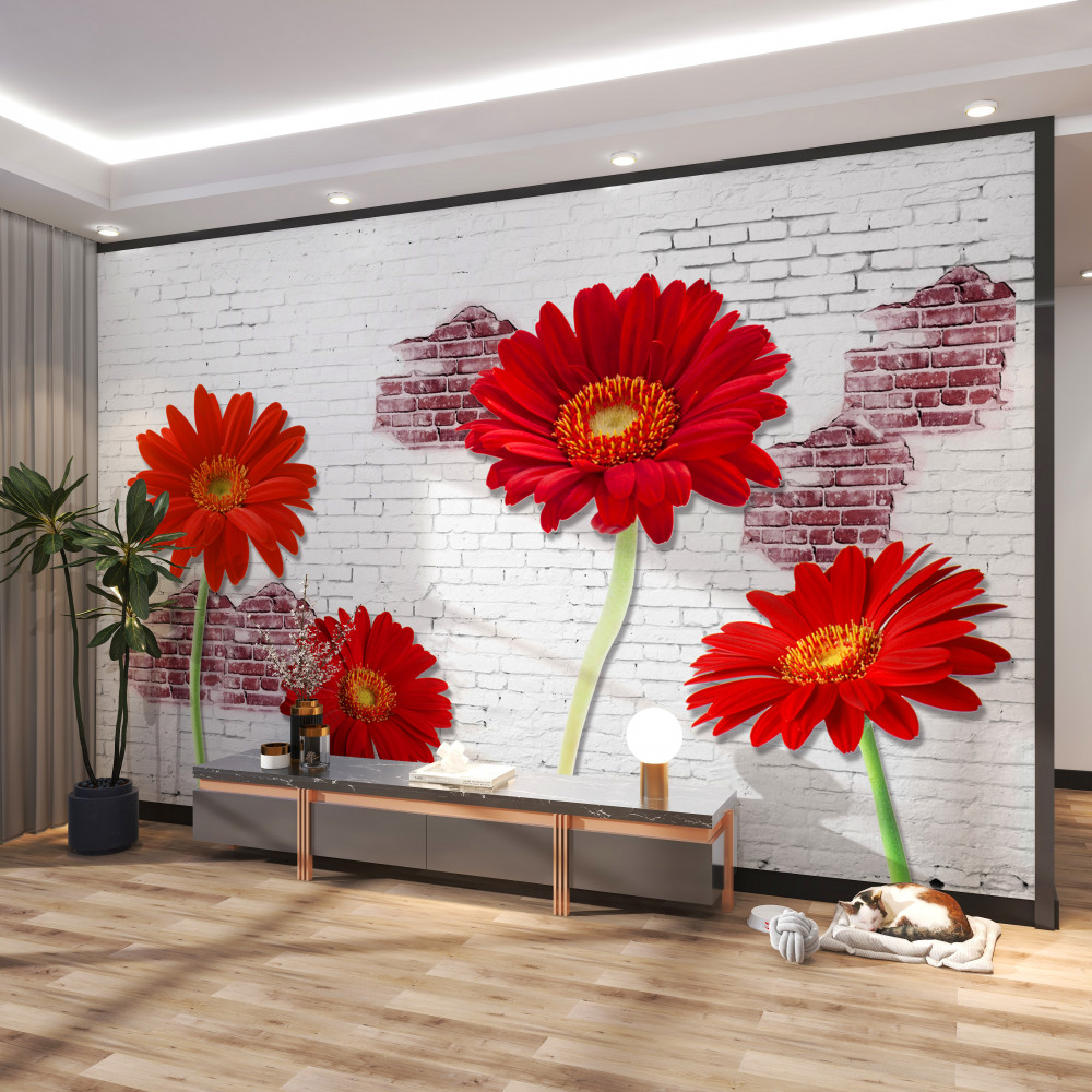 Fototapeta cienkie czerwone gerbery