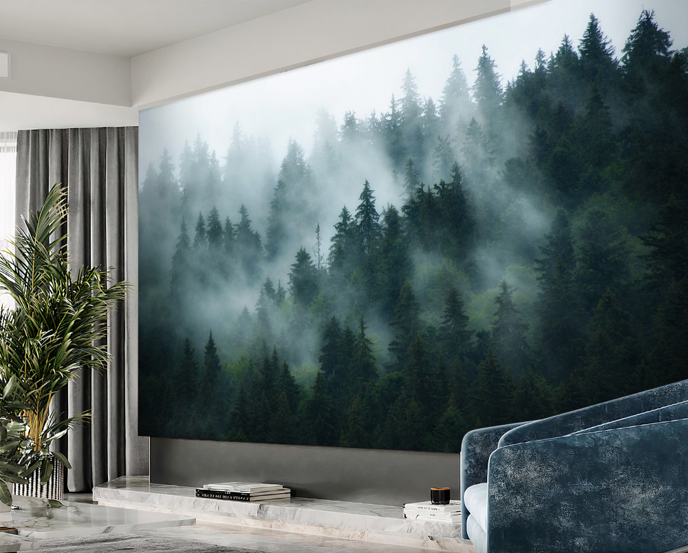 Fototapeta Mgła w sosnach