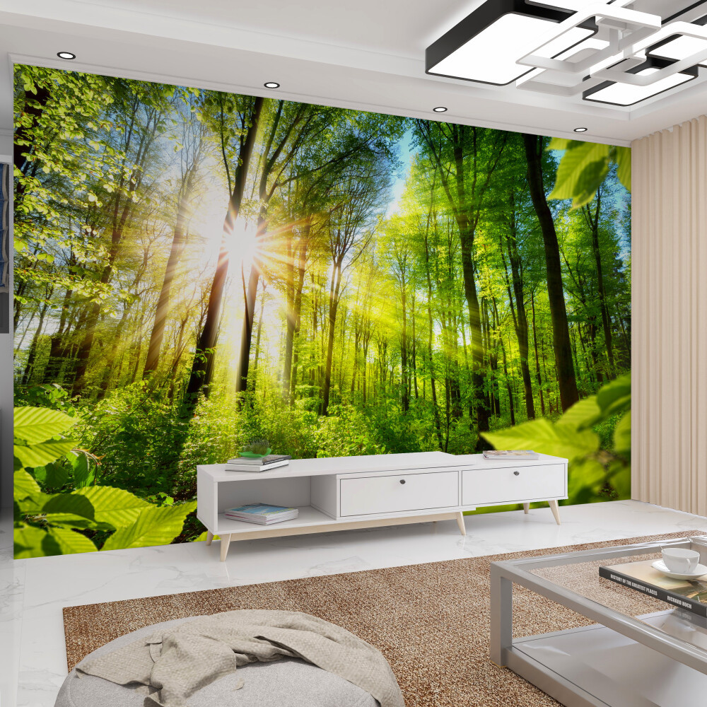 Fototapeta słoneczny las