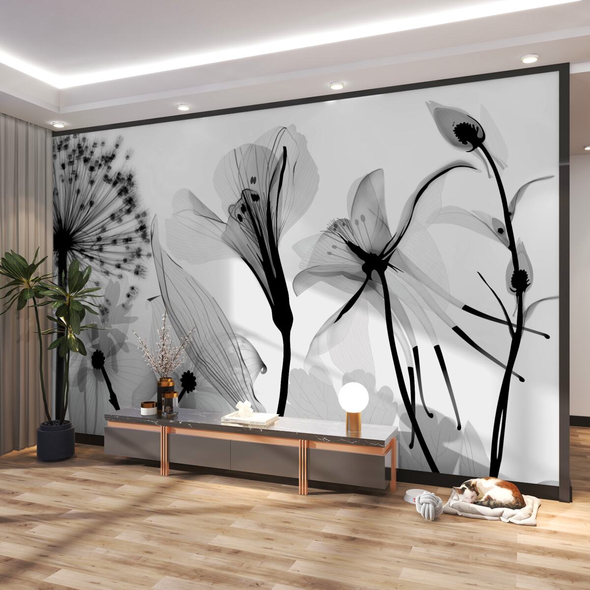 Fototapeta biały mniszek lekarski na białym tle