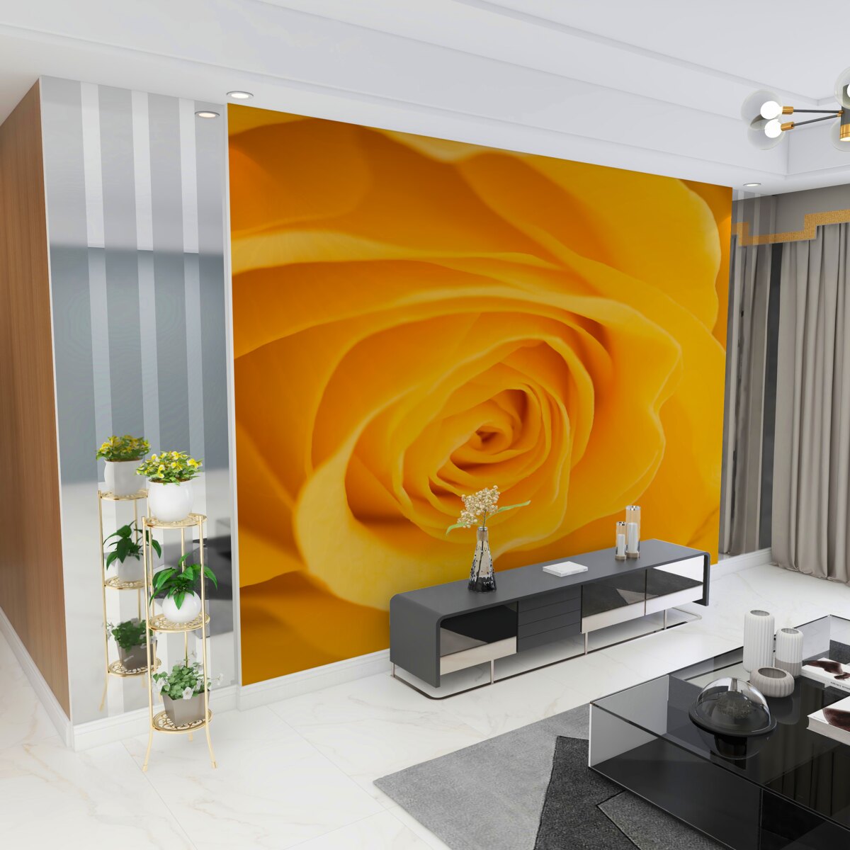 Fototapeta duży żółty pączek róży