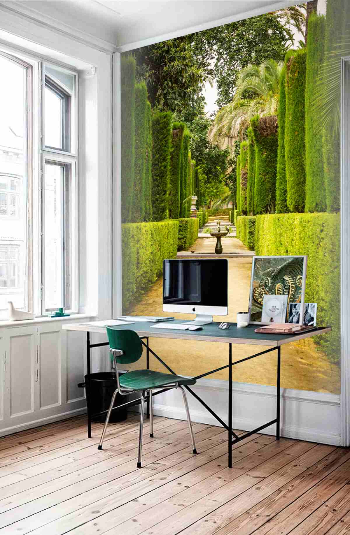 Fototapeta ścieżka wśród topiary cyprysów