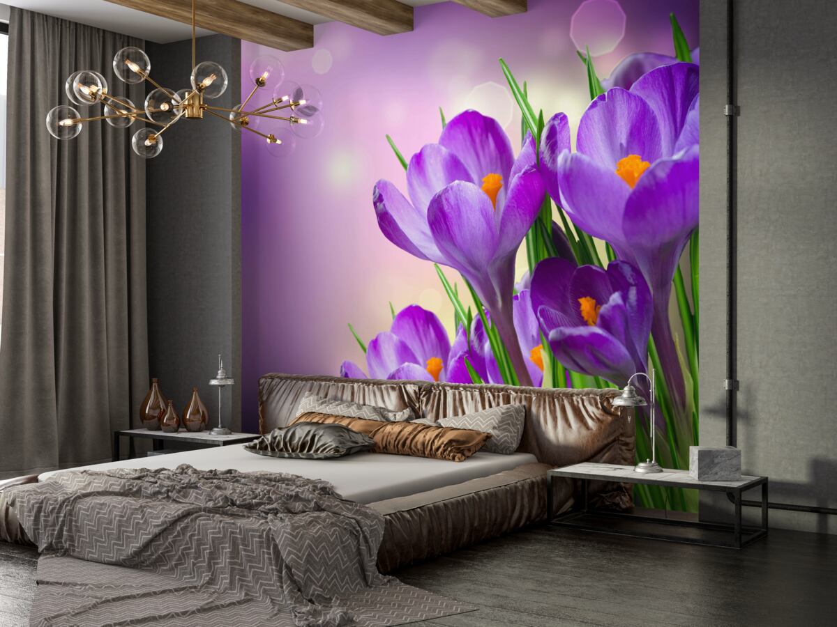 Fototapeta delikatne fioletowe irysy o świcie