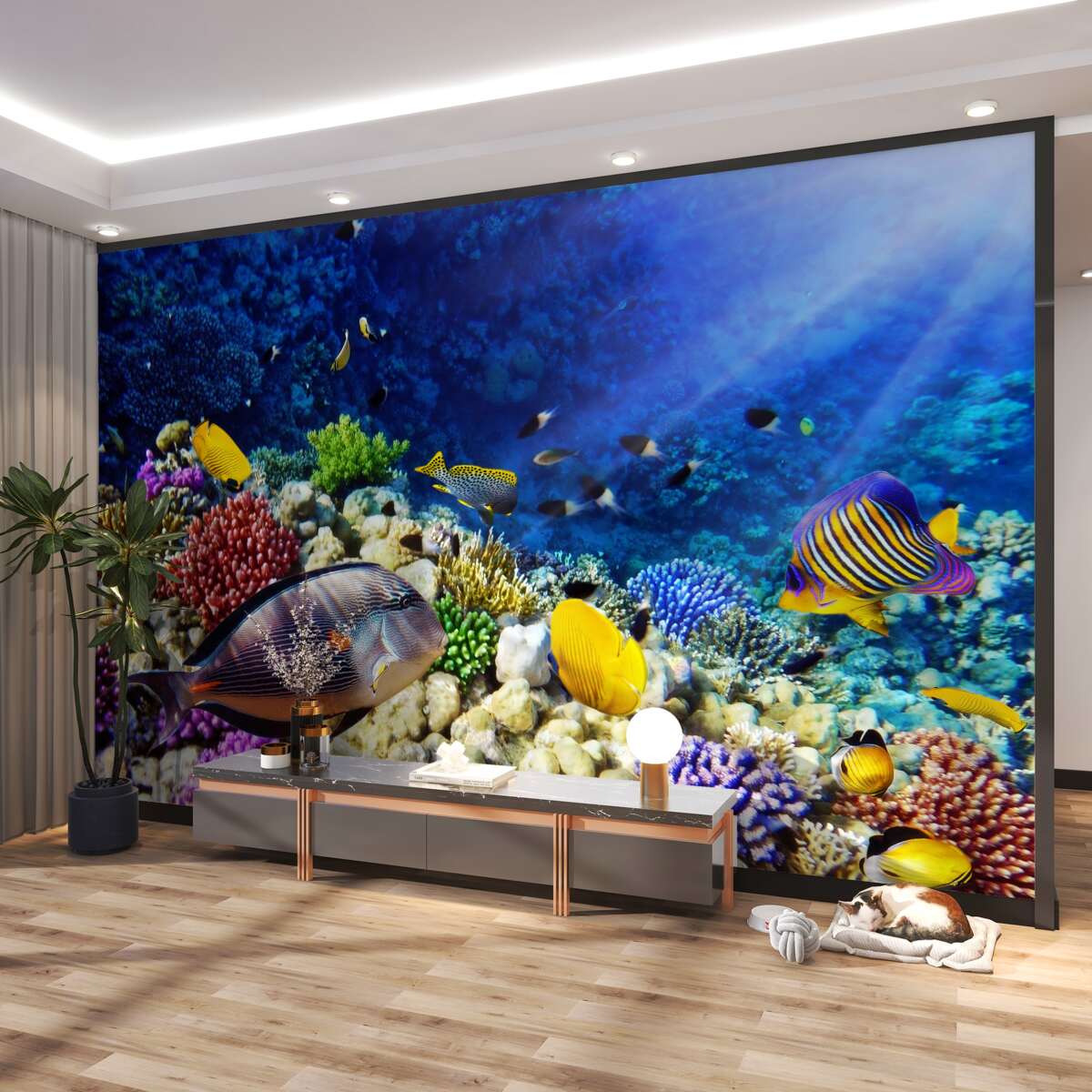 Fototapeta mieszkańcy oceanu w słońcu