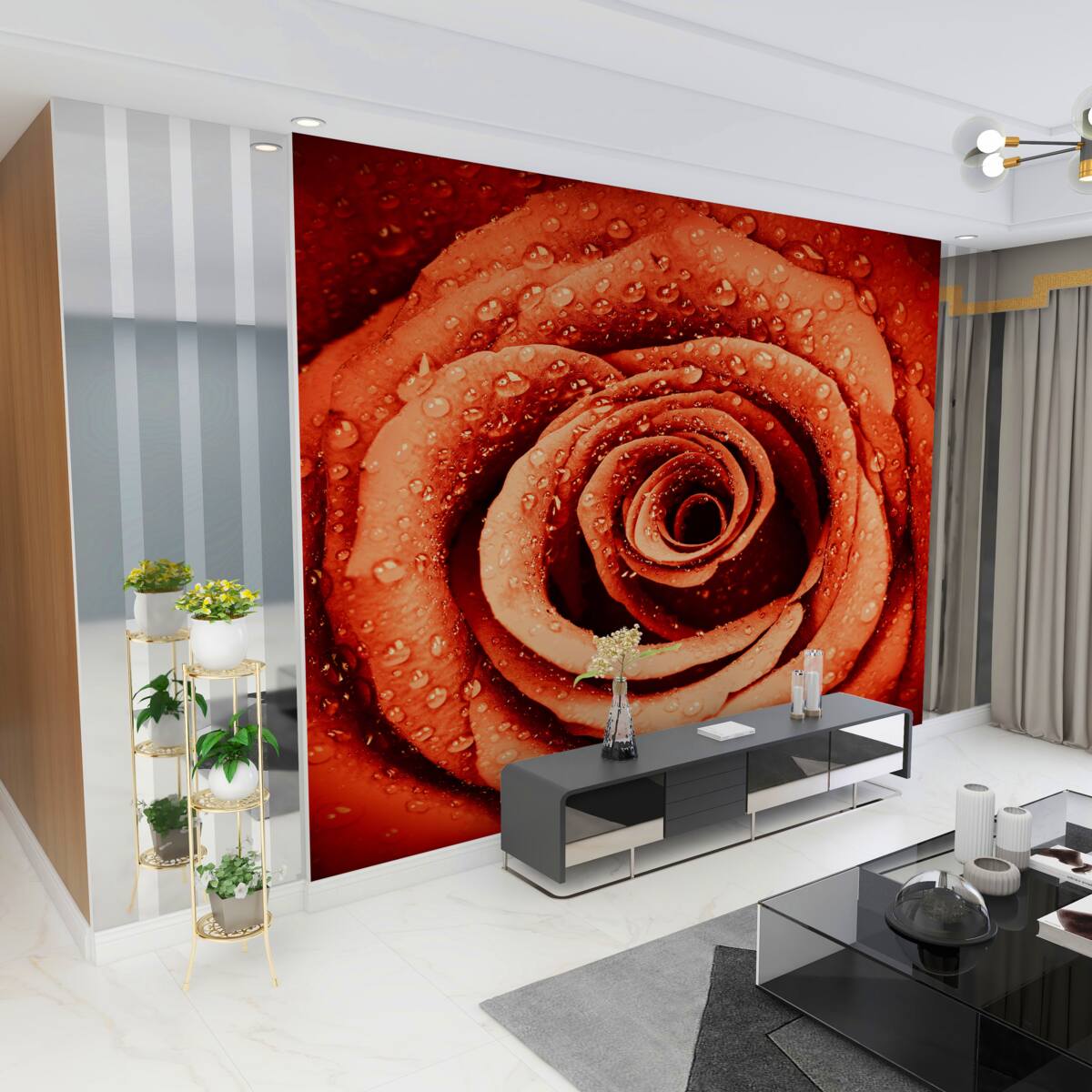 Fototapeta krople rosy na czerwonym pączku róży