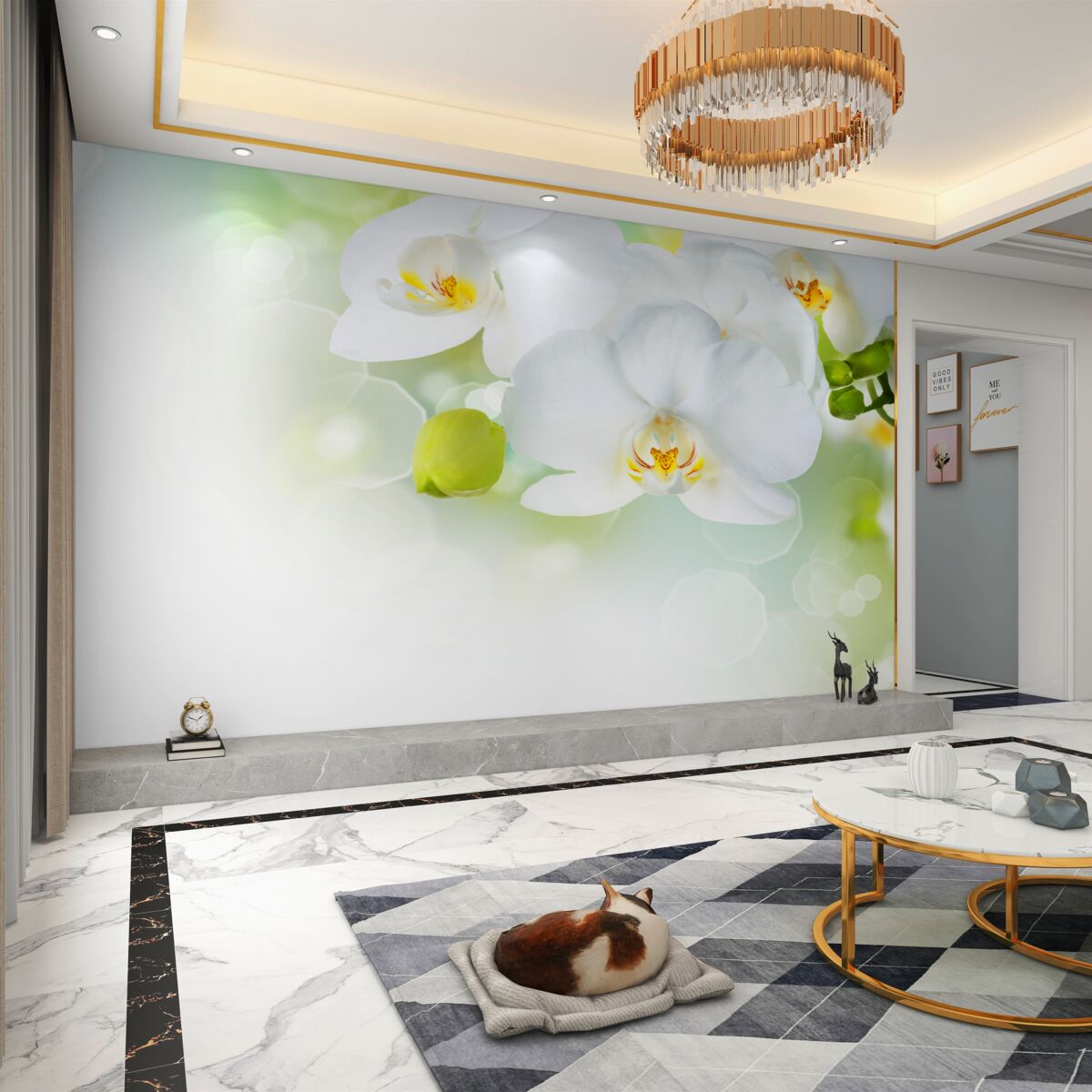 Fototapeta biała orchidea unosi się nad wodą