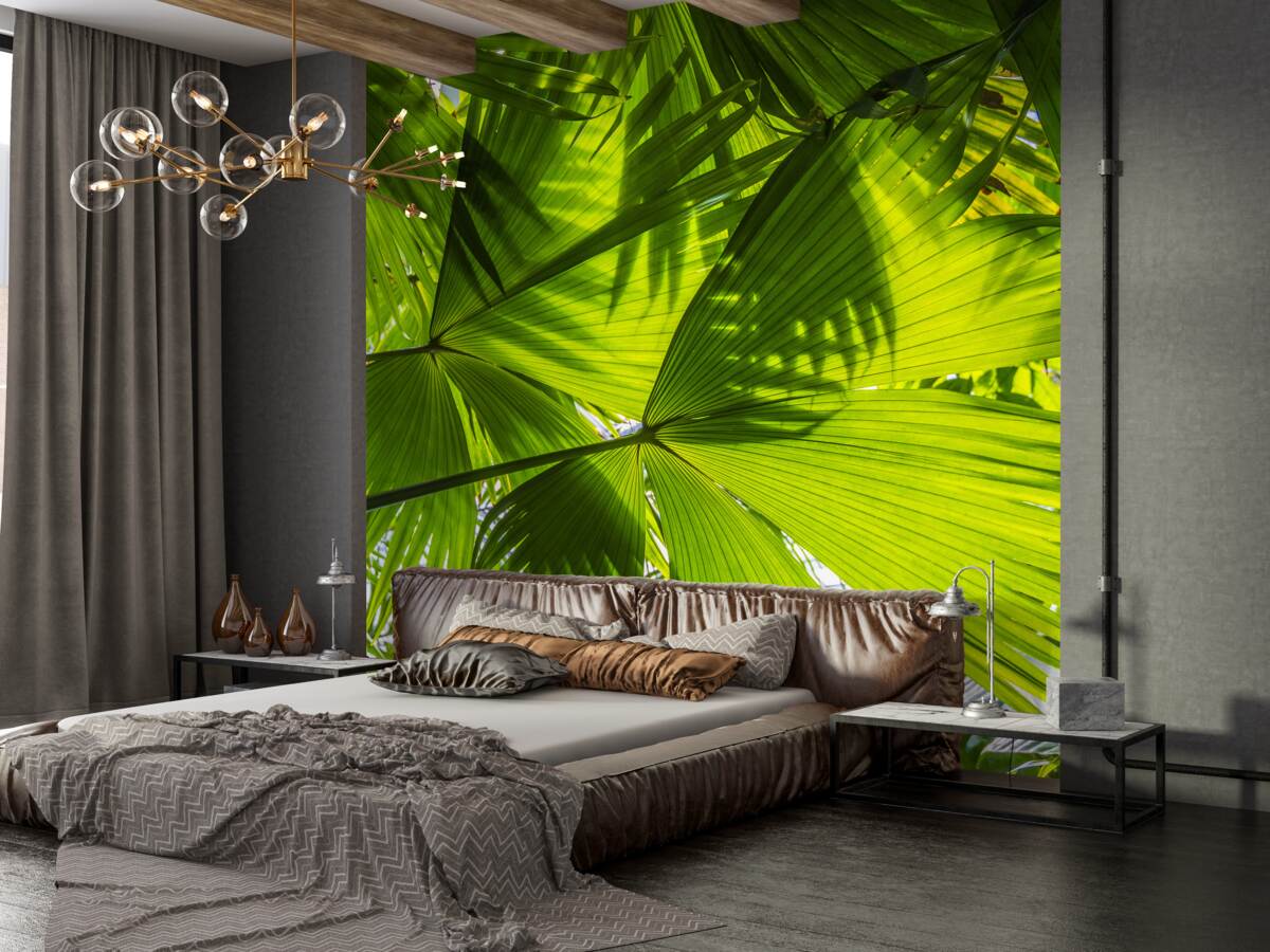 Fototapeta liście paproci blokują słońce