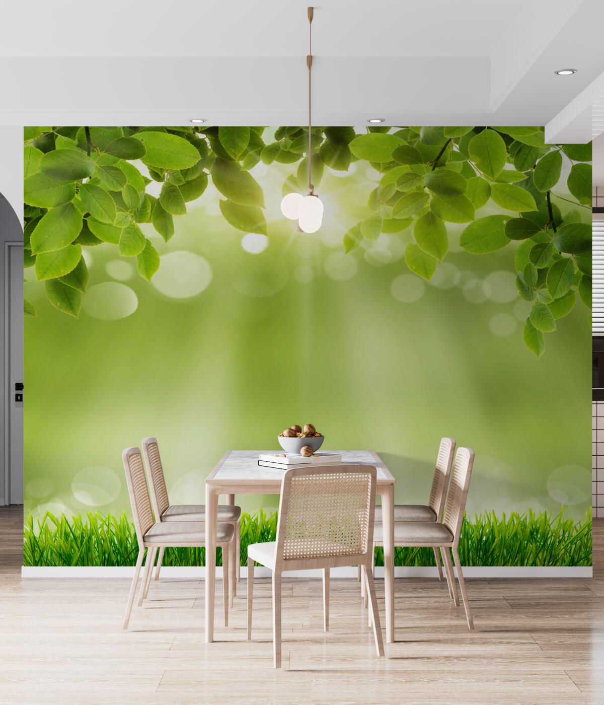 Fototapeta promienie słońca na łące przez deszcz