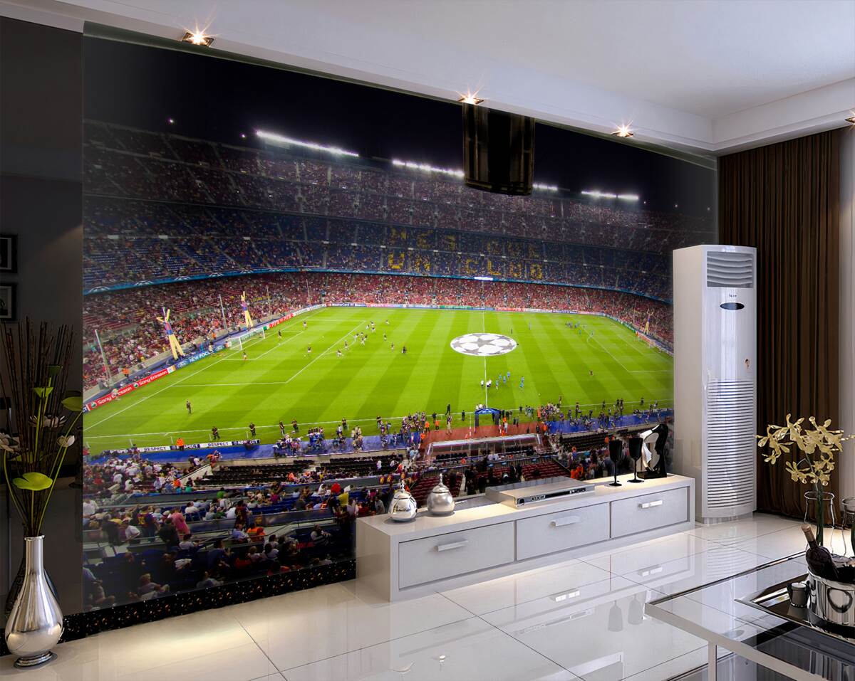 Fototapeta boisko do piłki nożnej z kibicami