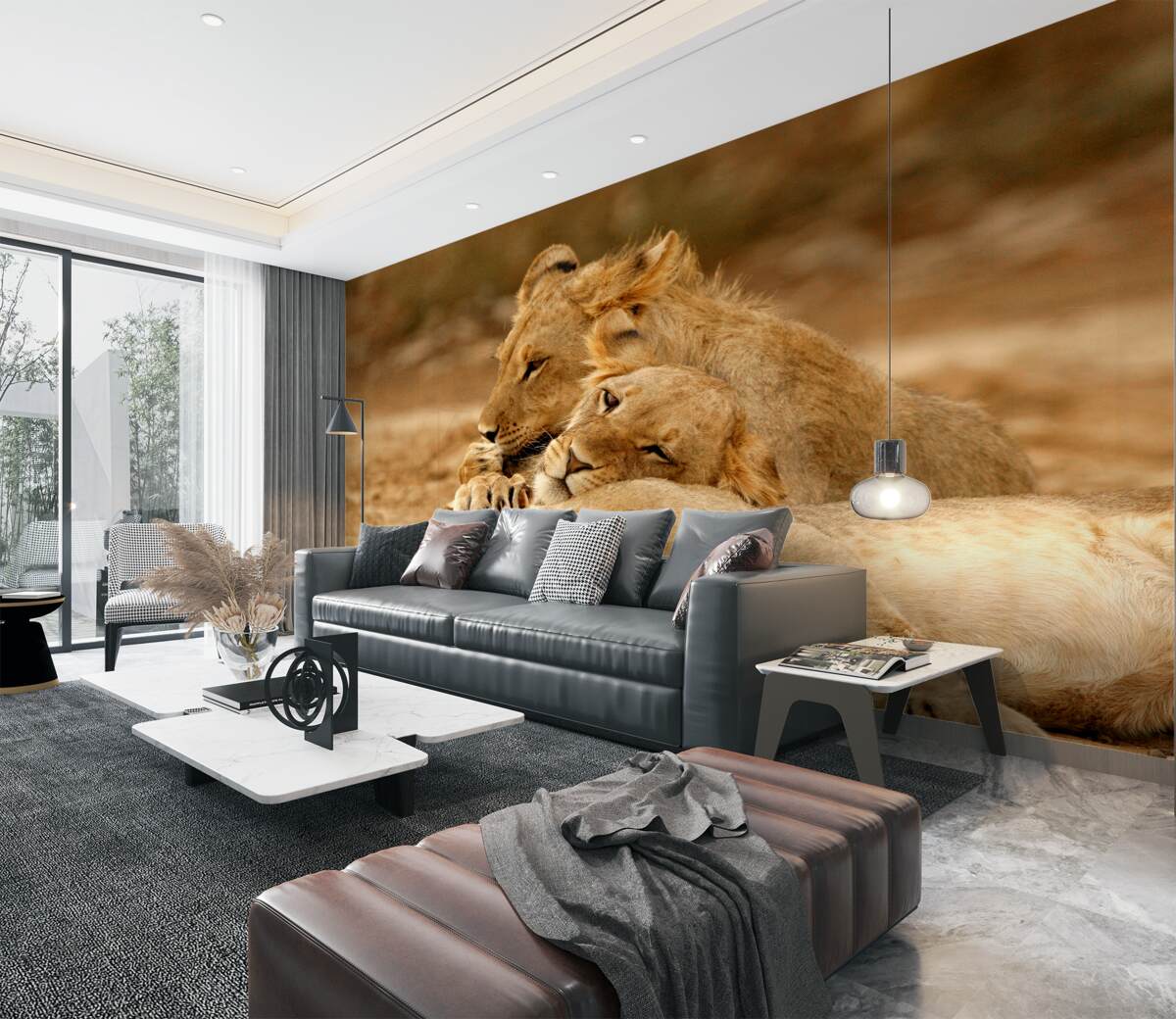 Fototapeta rodzina lwów odpoczywa na piasku