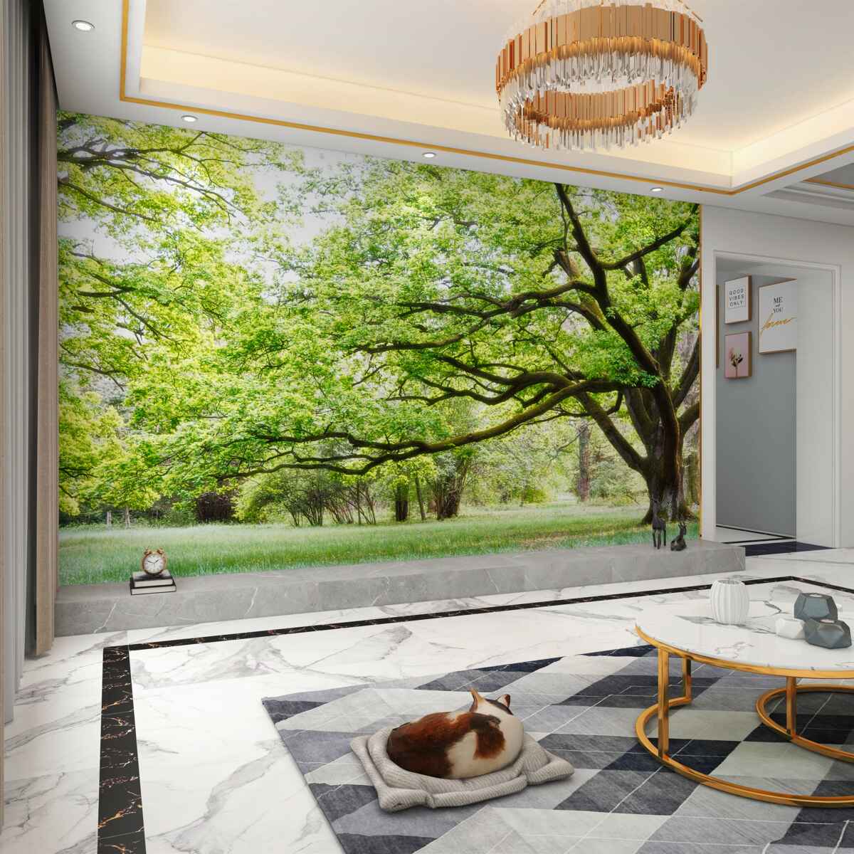 Fototapeta stare zielone drzewo w letni dzień