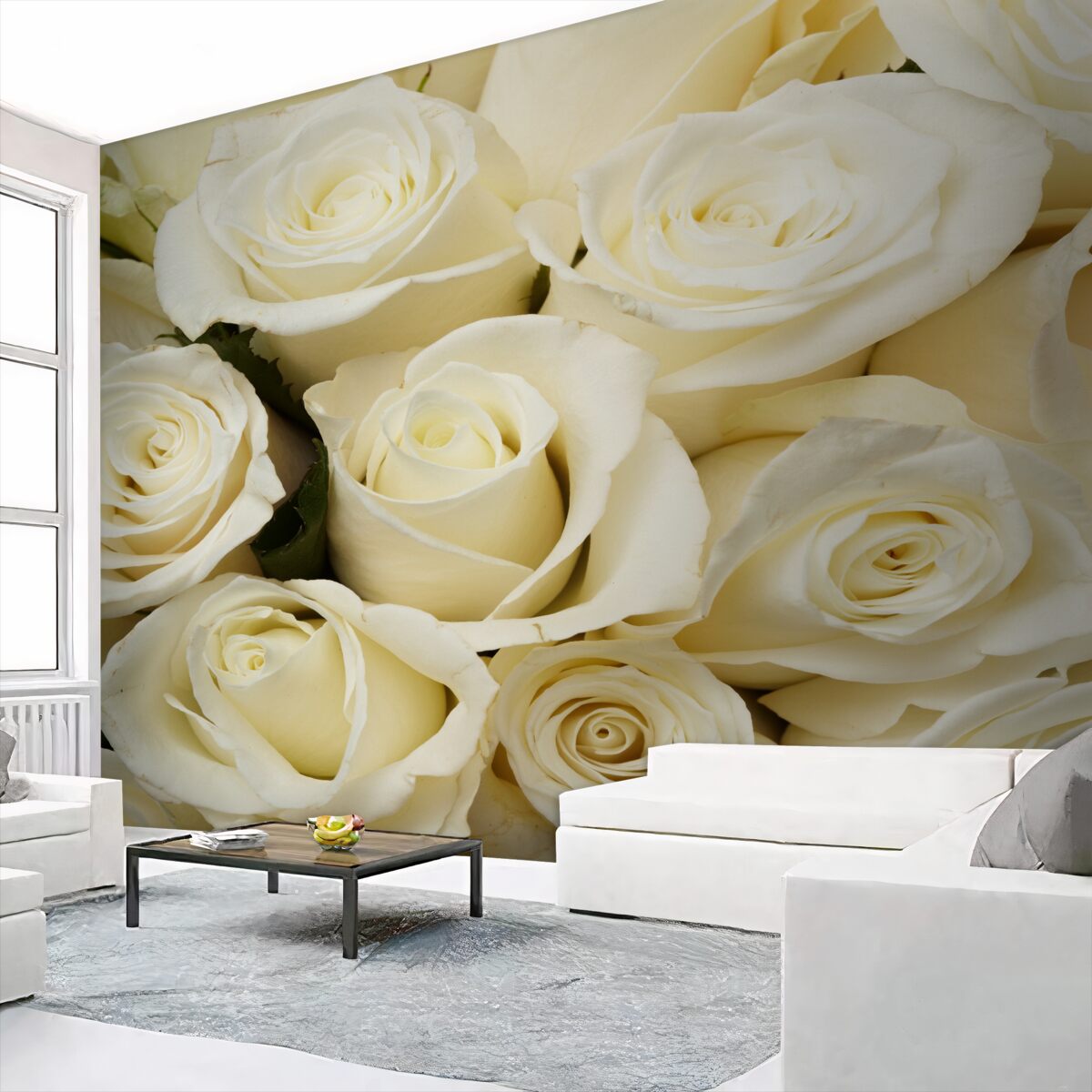 Fototapeta delikatne pąki delikatnych białych róż