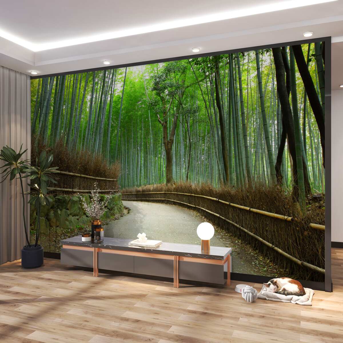 Fototapeta bambusowy las i ścieżka