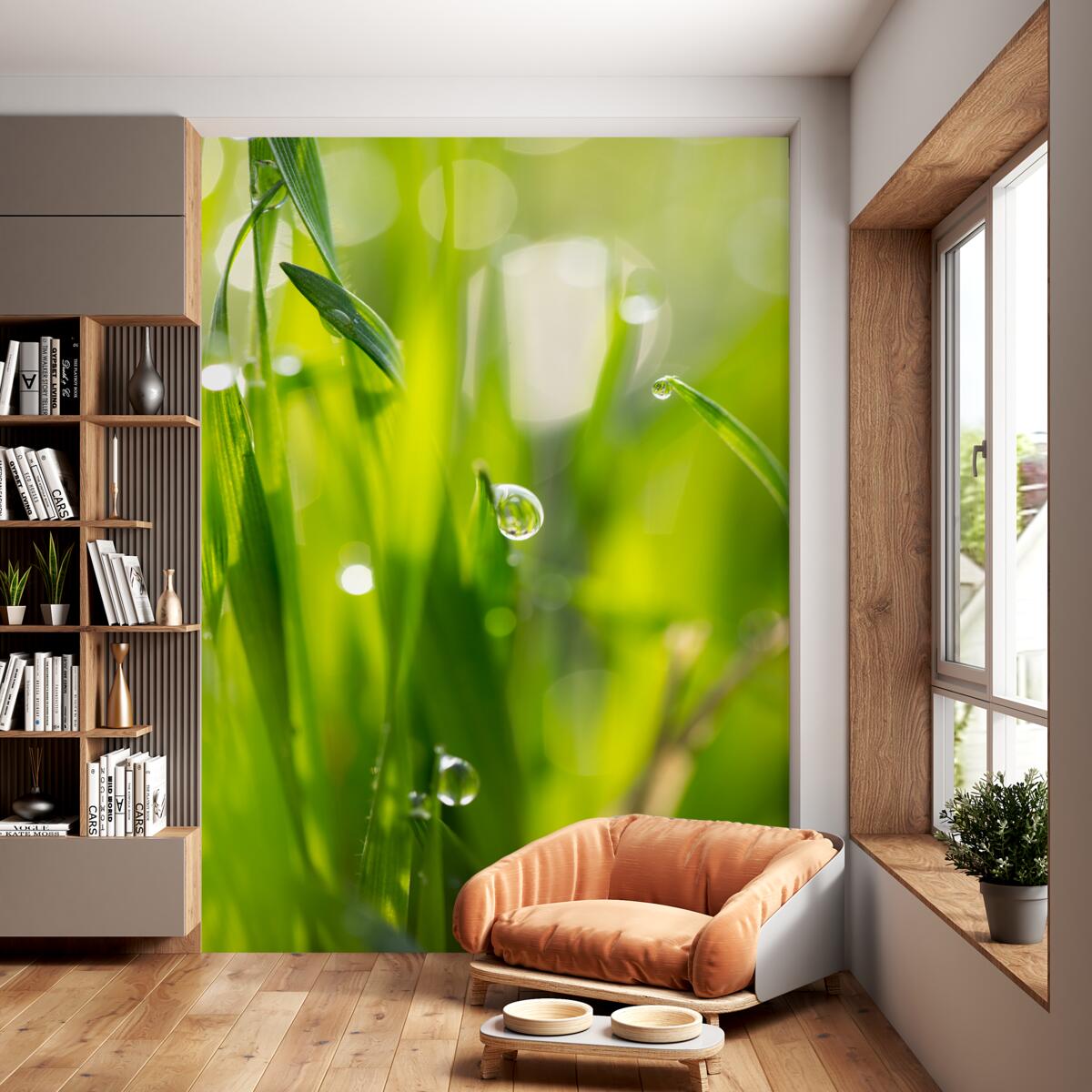 Fototapeta krople porannej rosy na zieleni