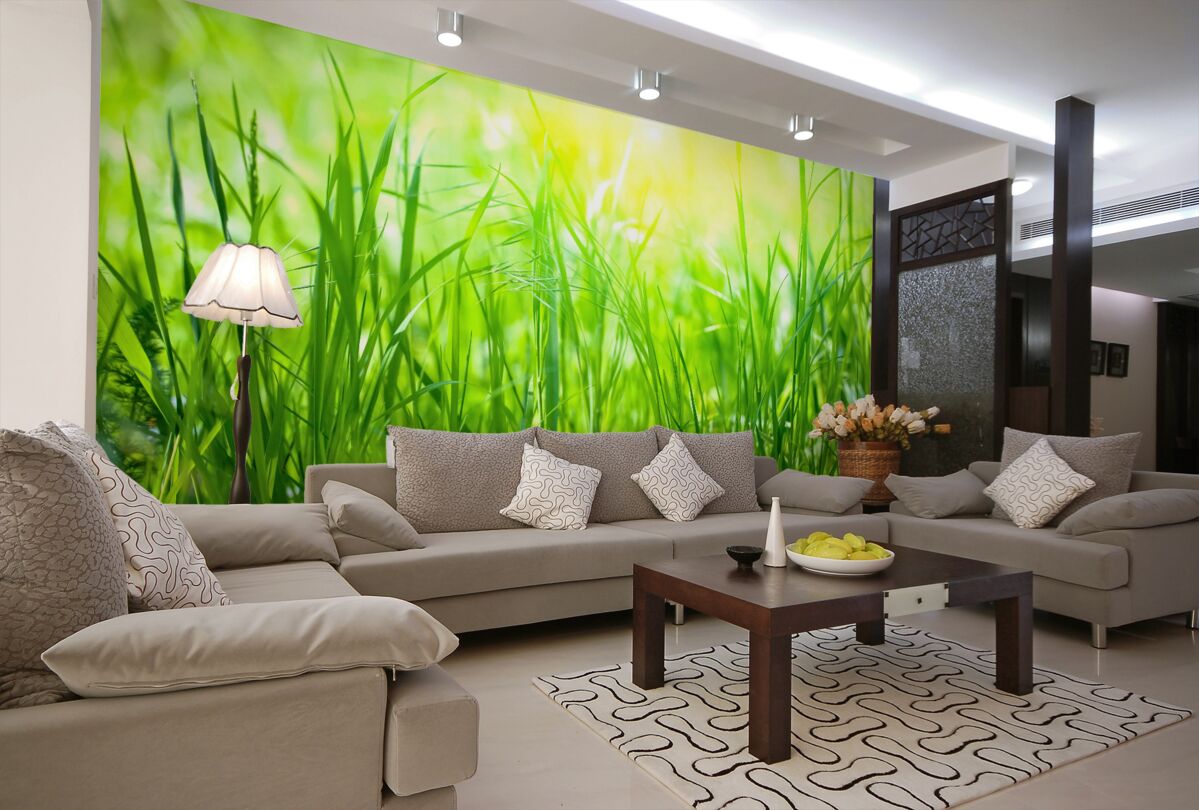 Fototapeta jasne promienie słońca na porannej rosie