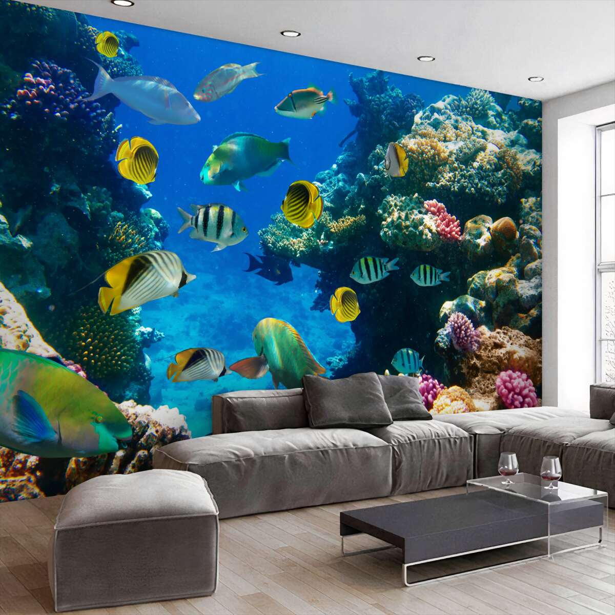 Fototapeta kolorowi podwodni mieszkańcy