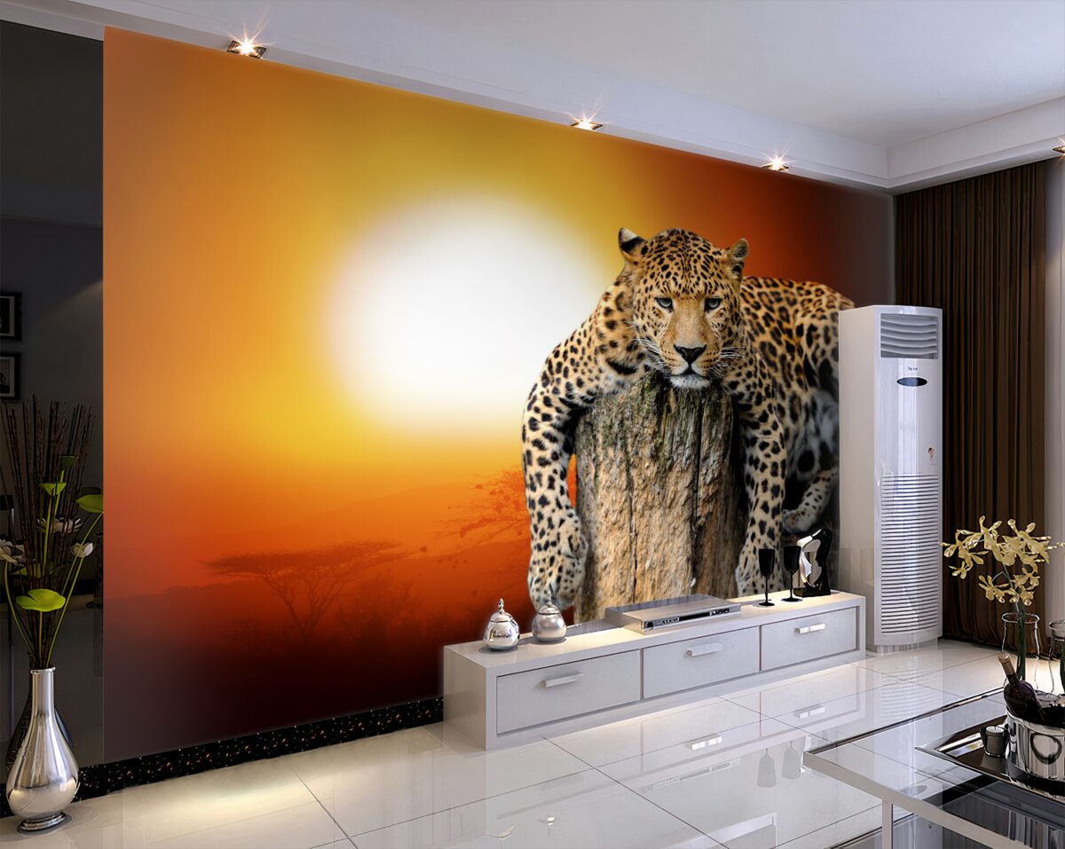 Fototapeta lampart odpoczywa o zachodzie słońca