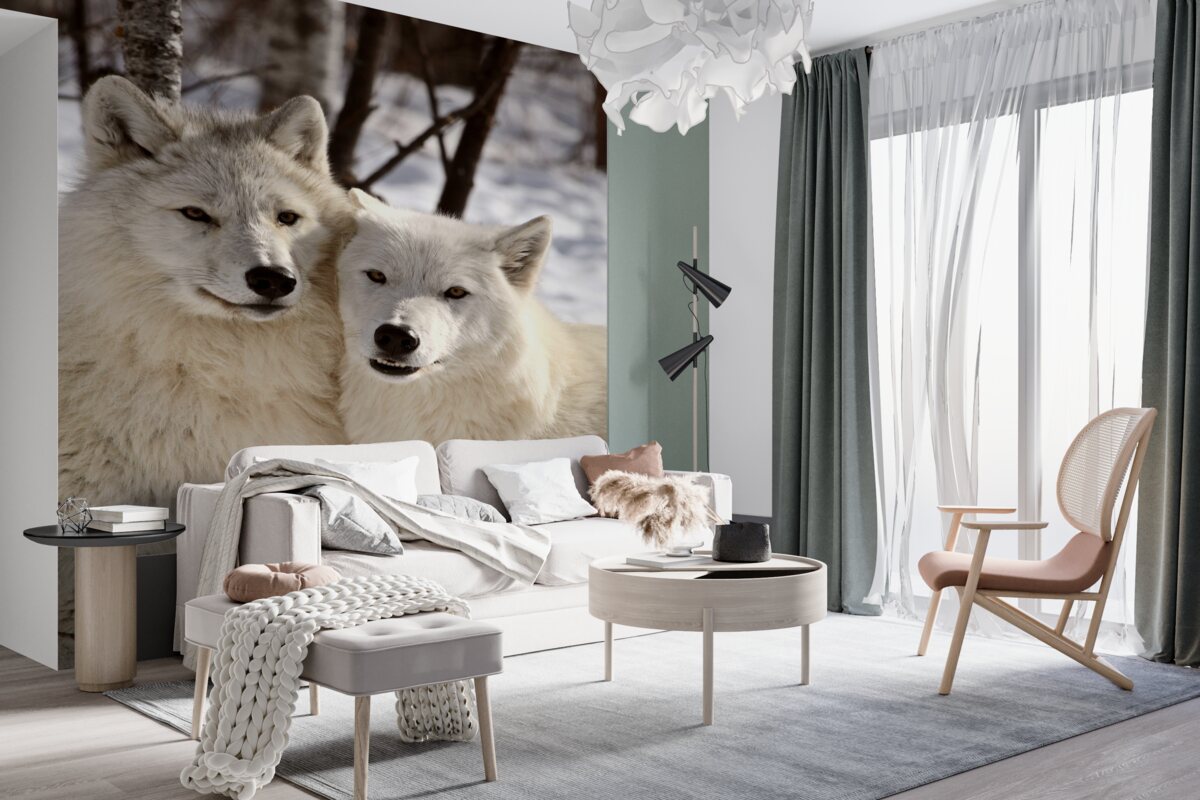 Fototapeta rodzina białych wilków w zaśnieżonym lesie