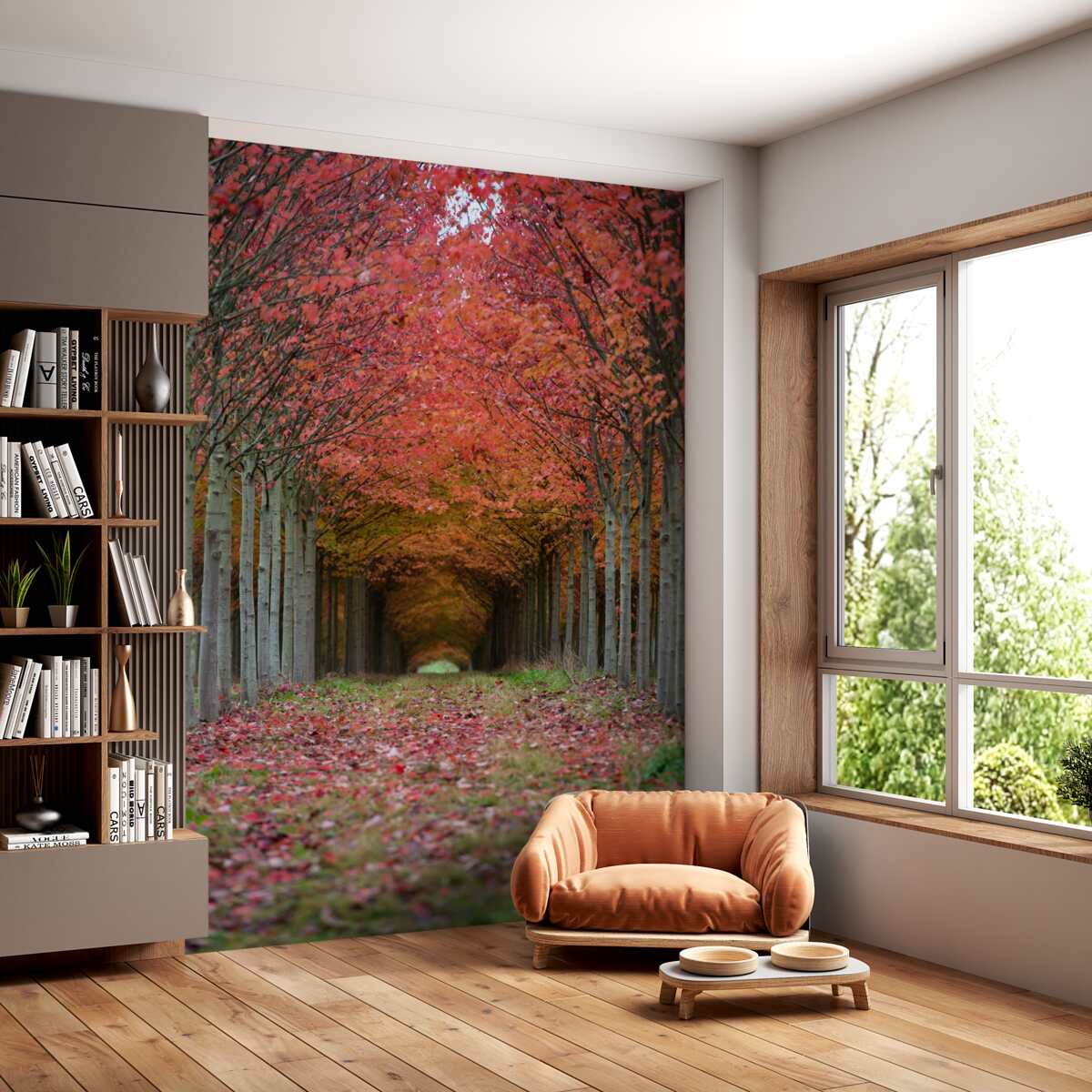 Fototapeta tunel kwitnącej wiśni