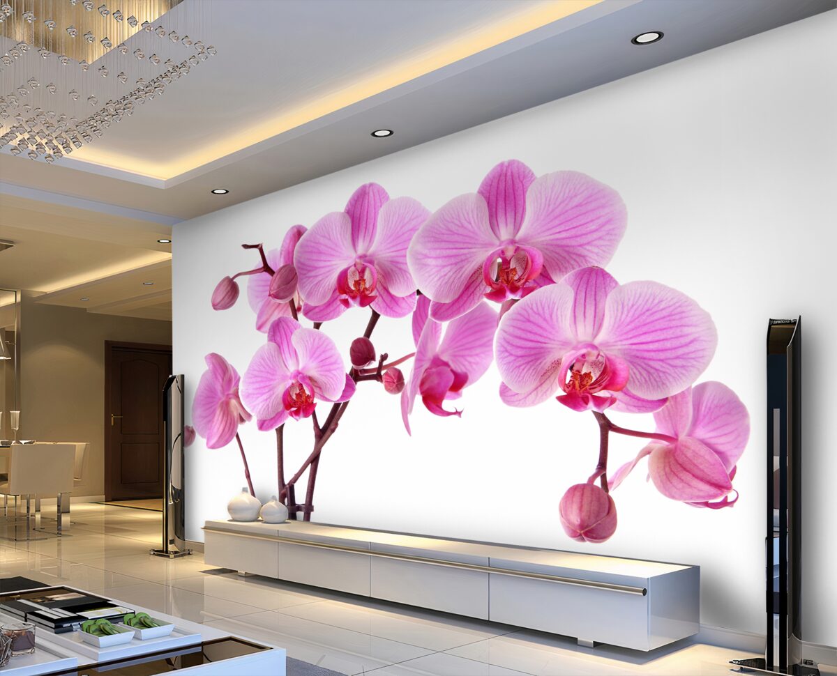 Fototapeta różowa lilia na gałęzi na białym tle