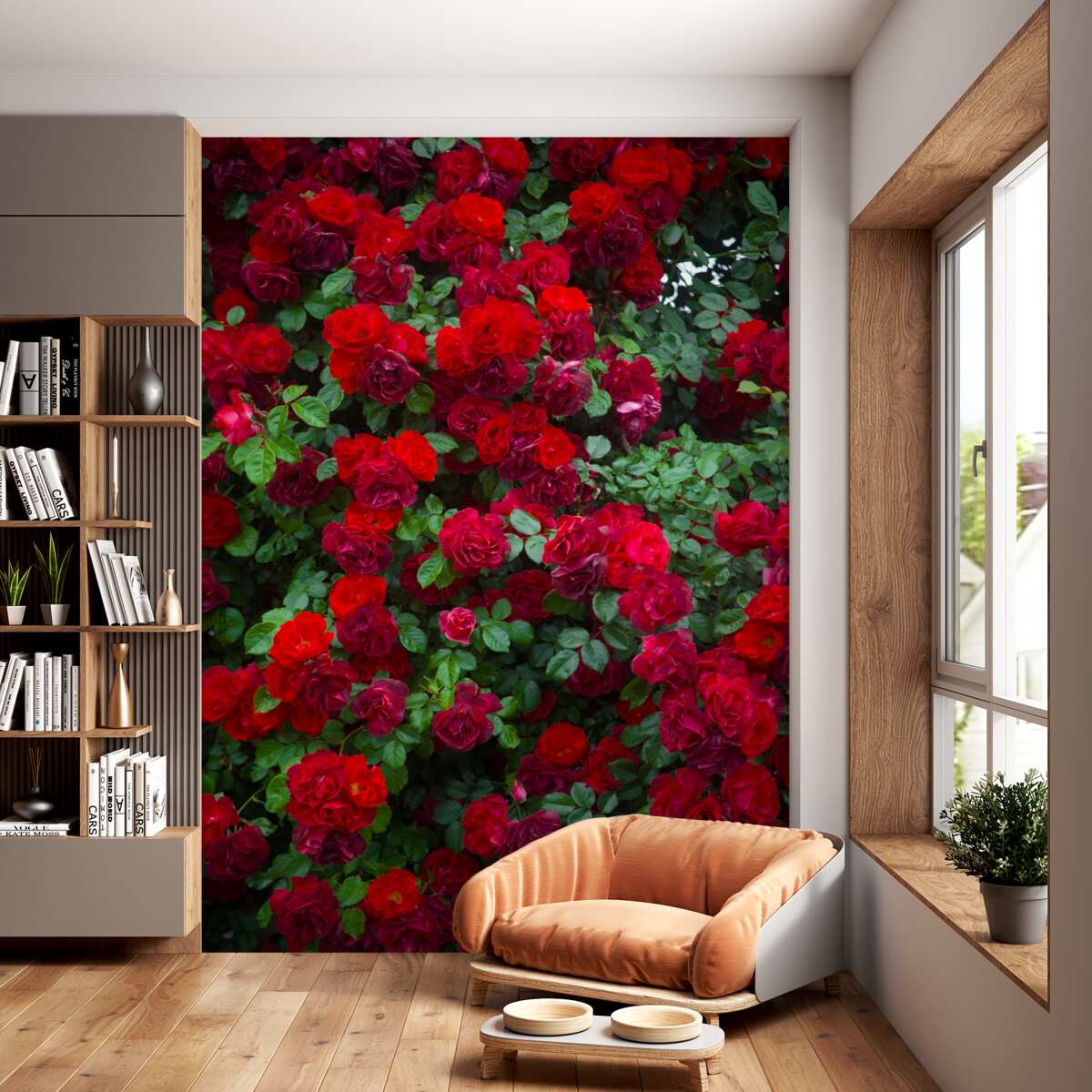 Fototapeta krzak czerwonych róż