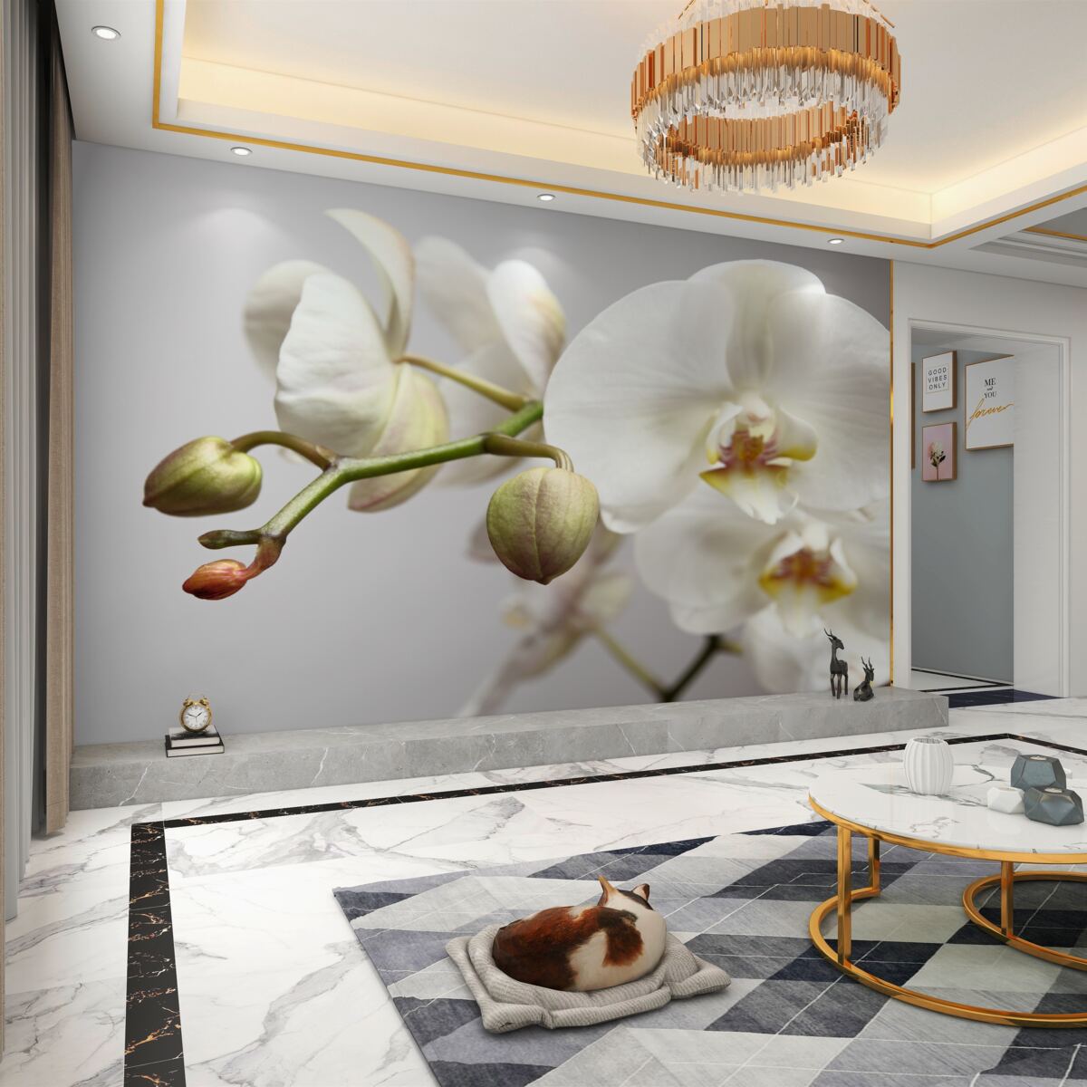 Fototapeta biała gałąź orchidei z kwiatami i pąkami