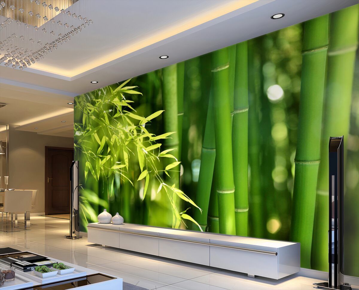 Fototapeta młode zielone pędy bambusa