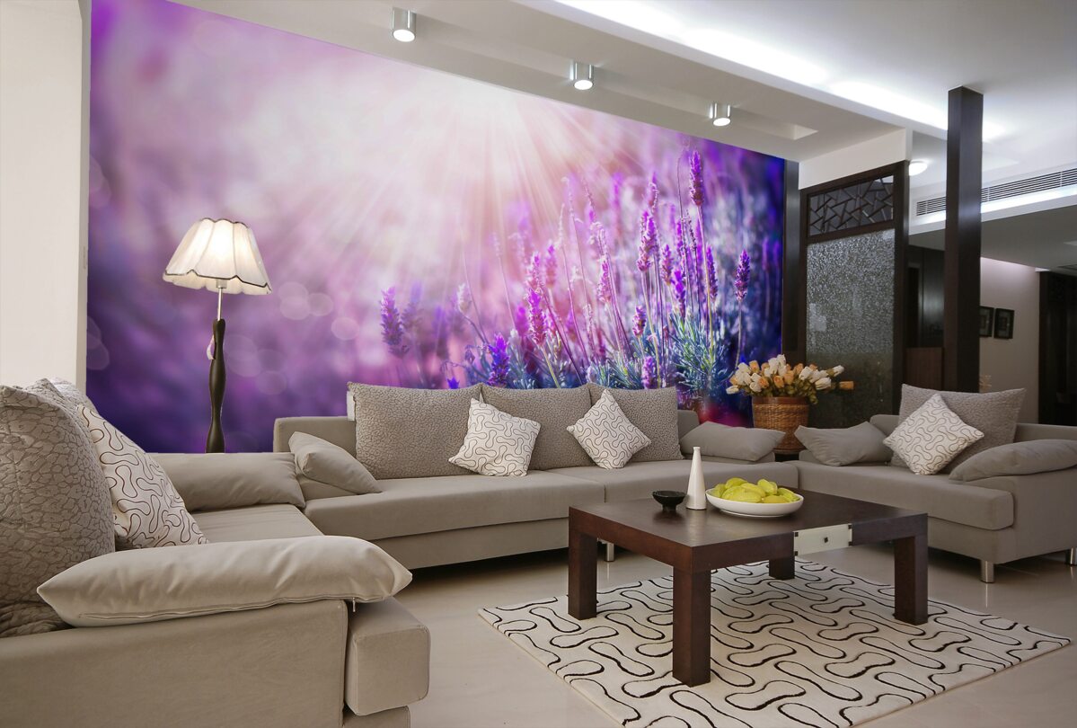 Fototapeta jasne promienie słońca na krzakach lawendy