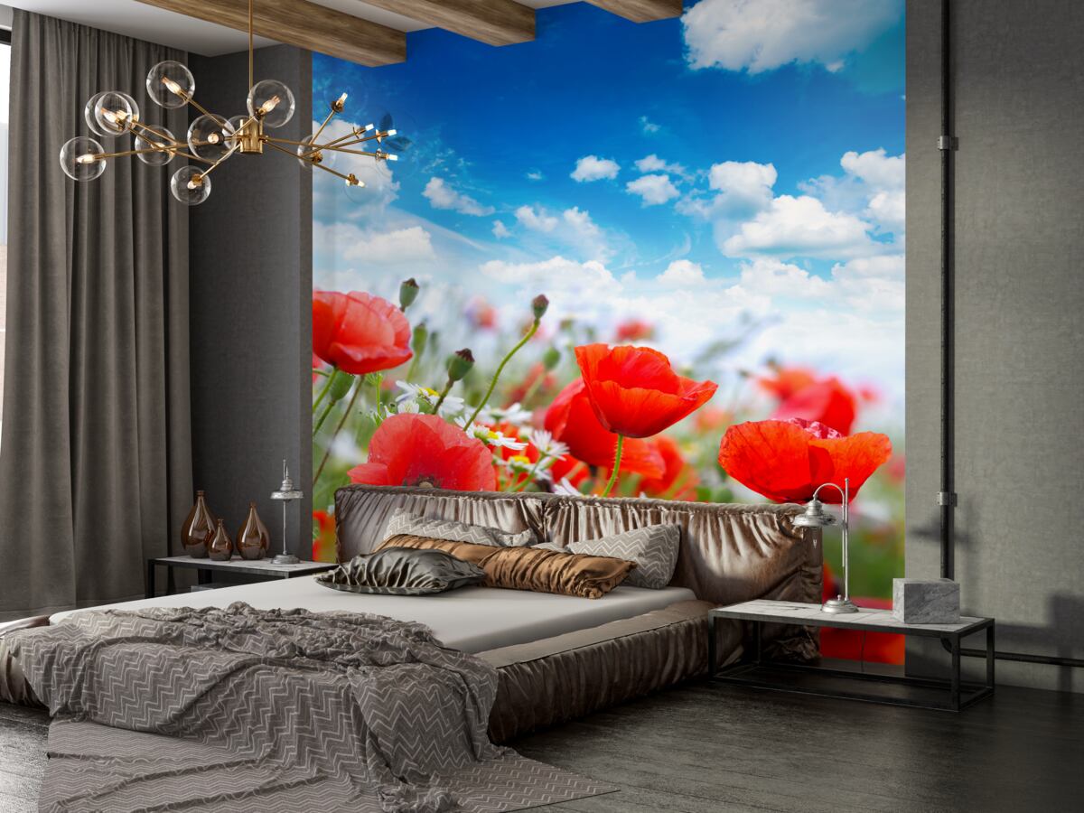 Fototapeta pole czerwonych maków i białych stokrotek