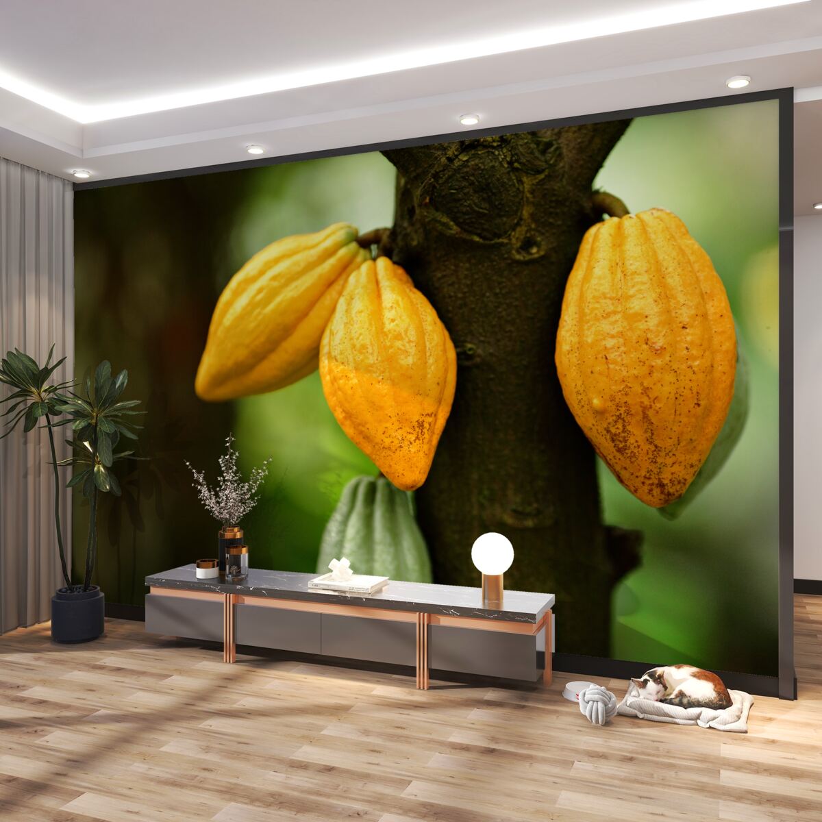 Fototapeta ziarna kawy na drewnie