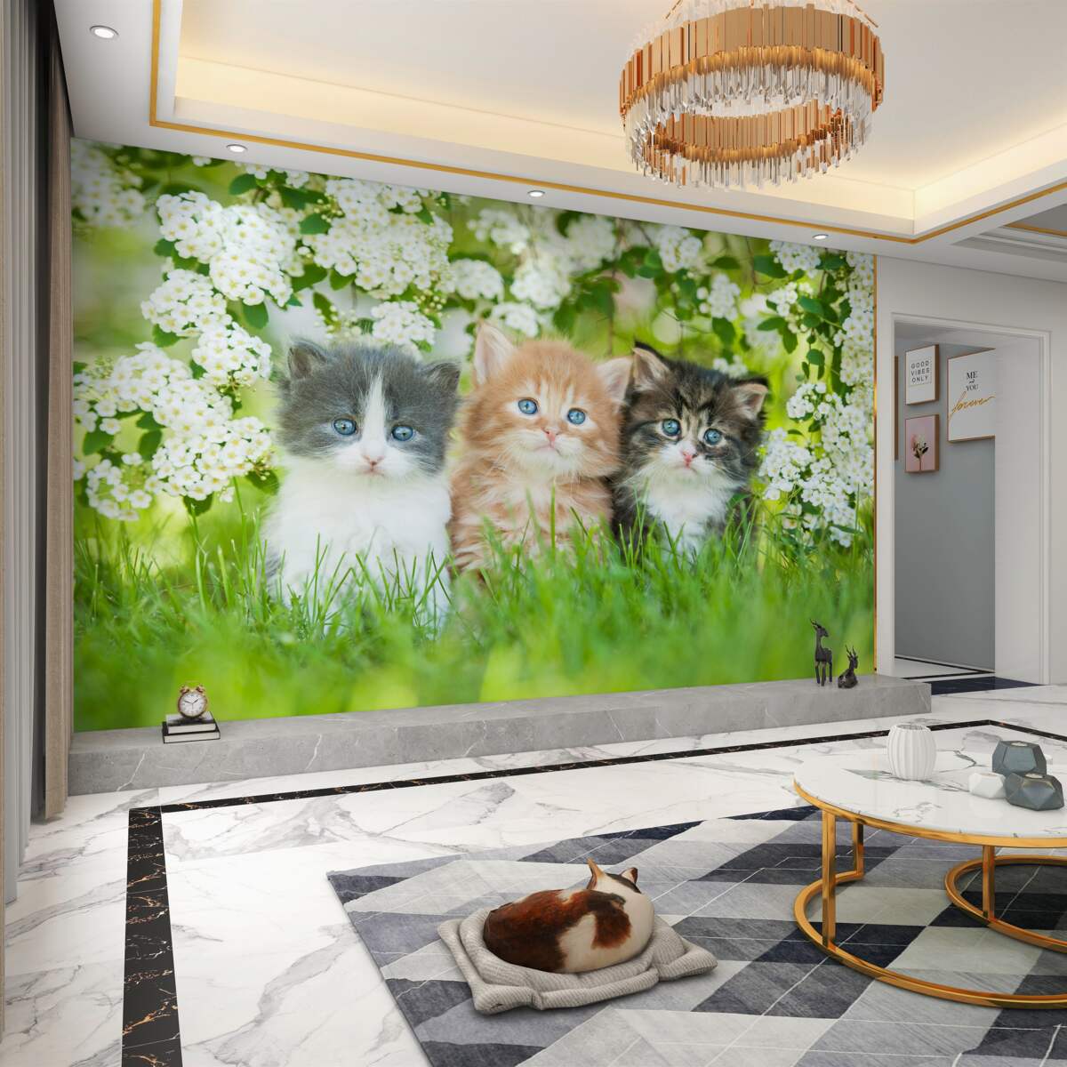 Fototapeta kocięta na kwiecistej łące